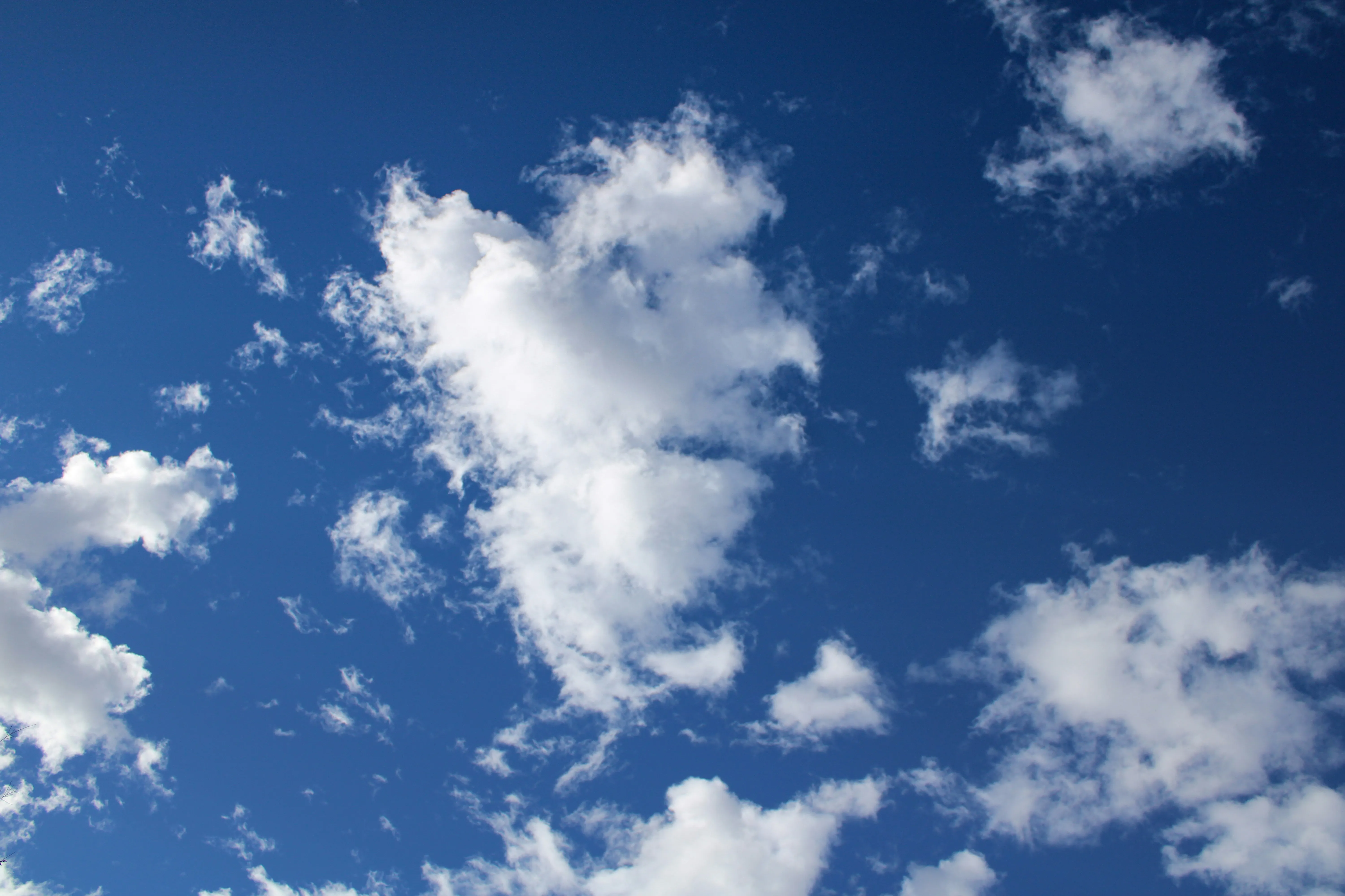 Blue Sky Filled with Scattered Puffy White Clouds Image