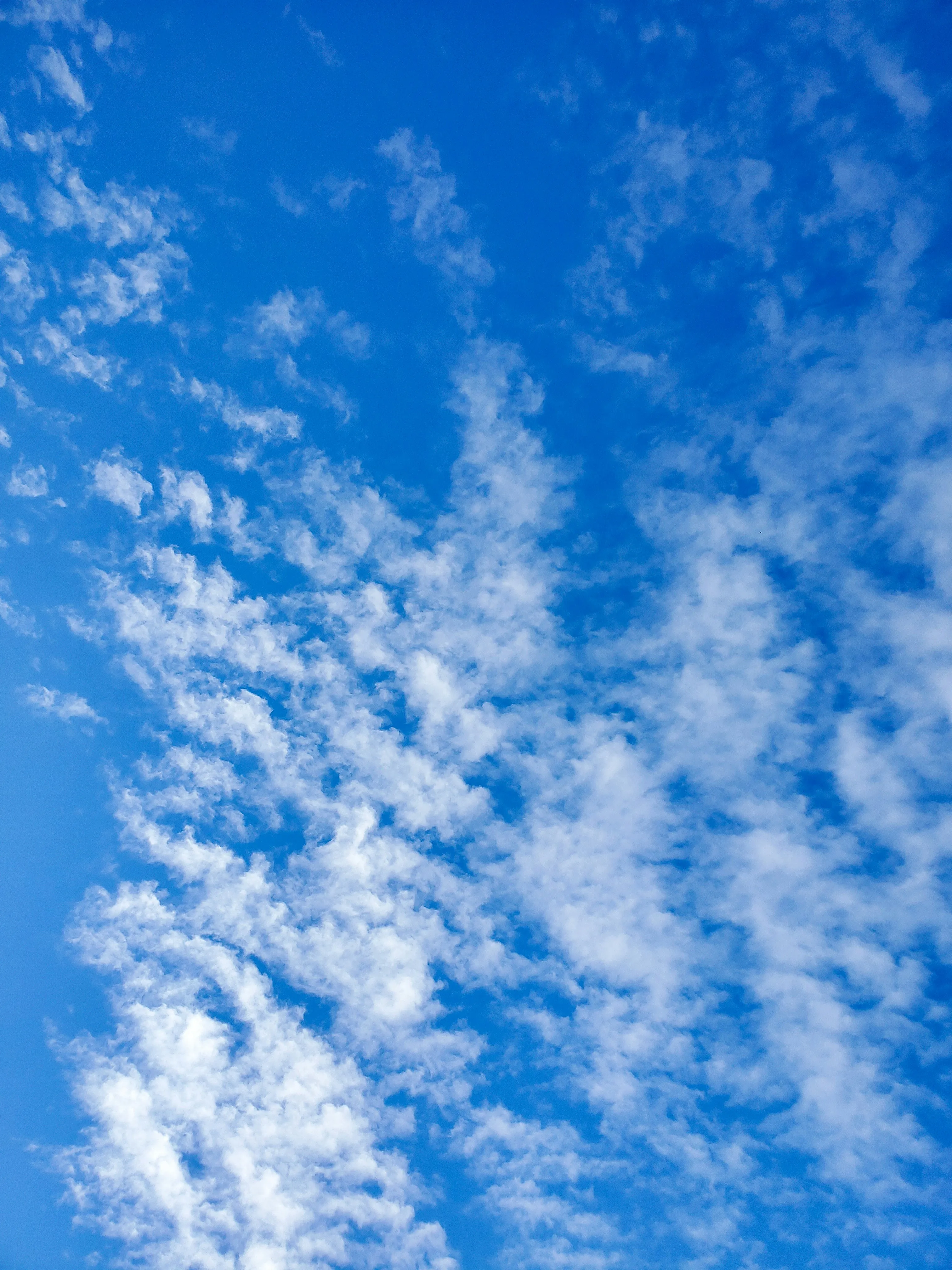 Blue Sky Filled with Soft White Puffy Clouds on a Sunny Day