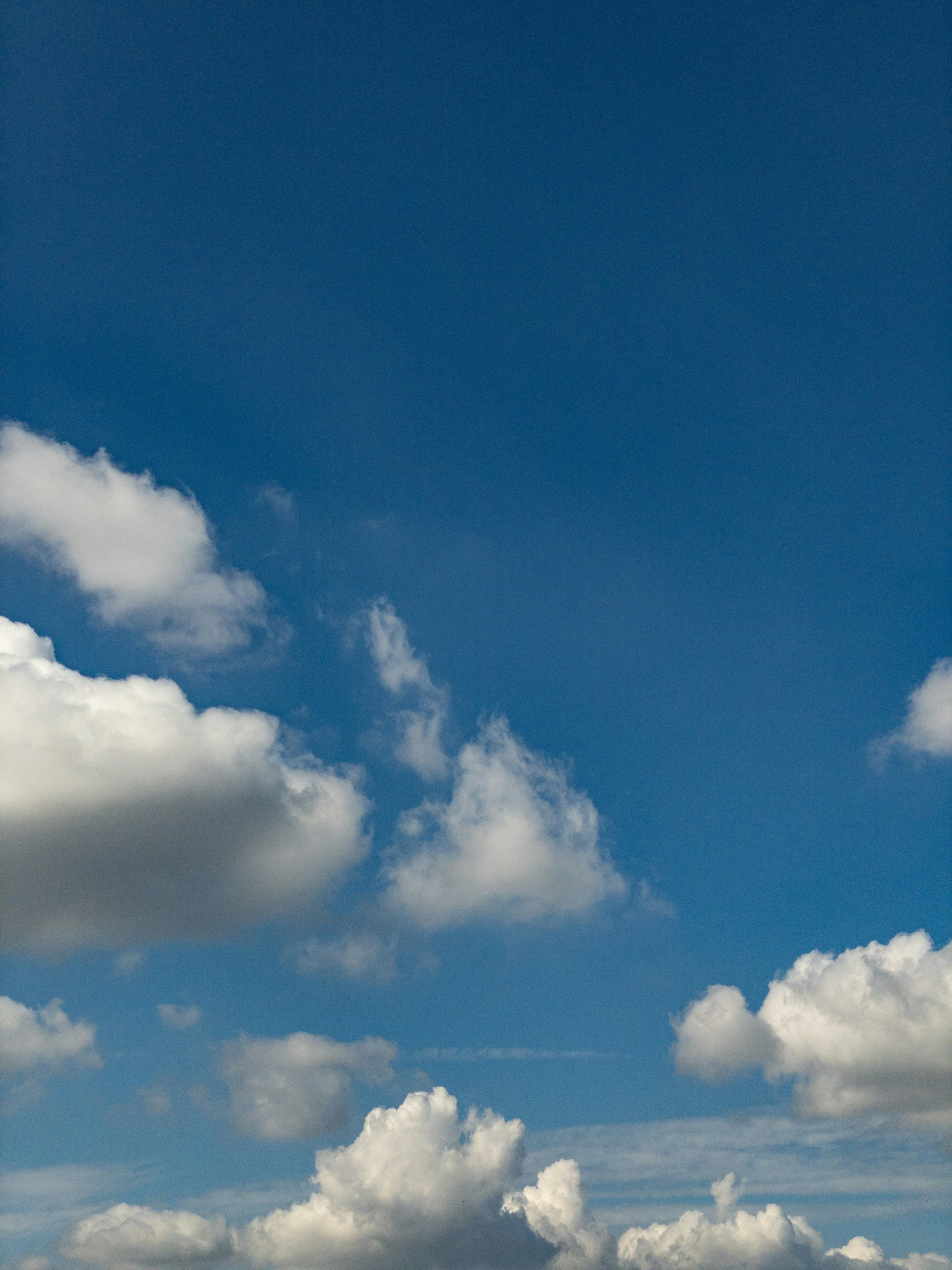 Blue Sky Filled with Various Types of White Clouds