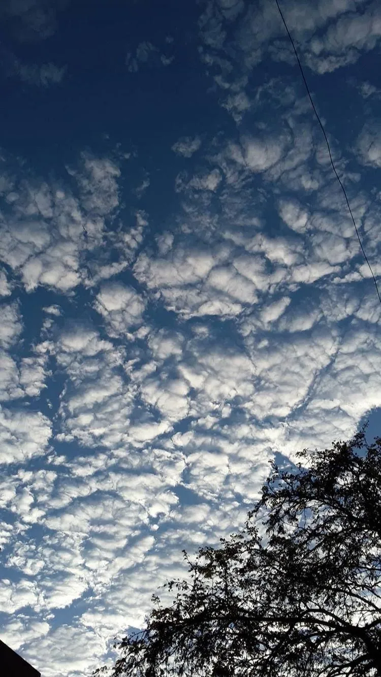 Blue Sky with Beautiful Pattern of Puffy White Clouds