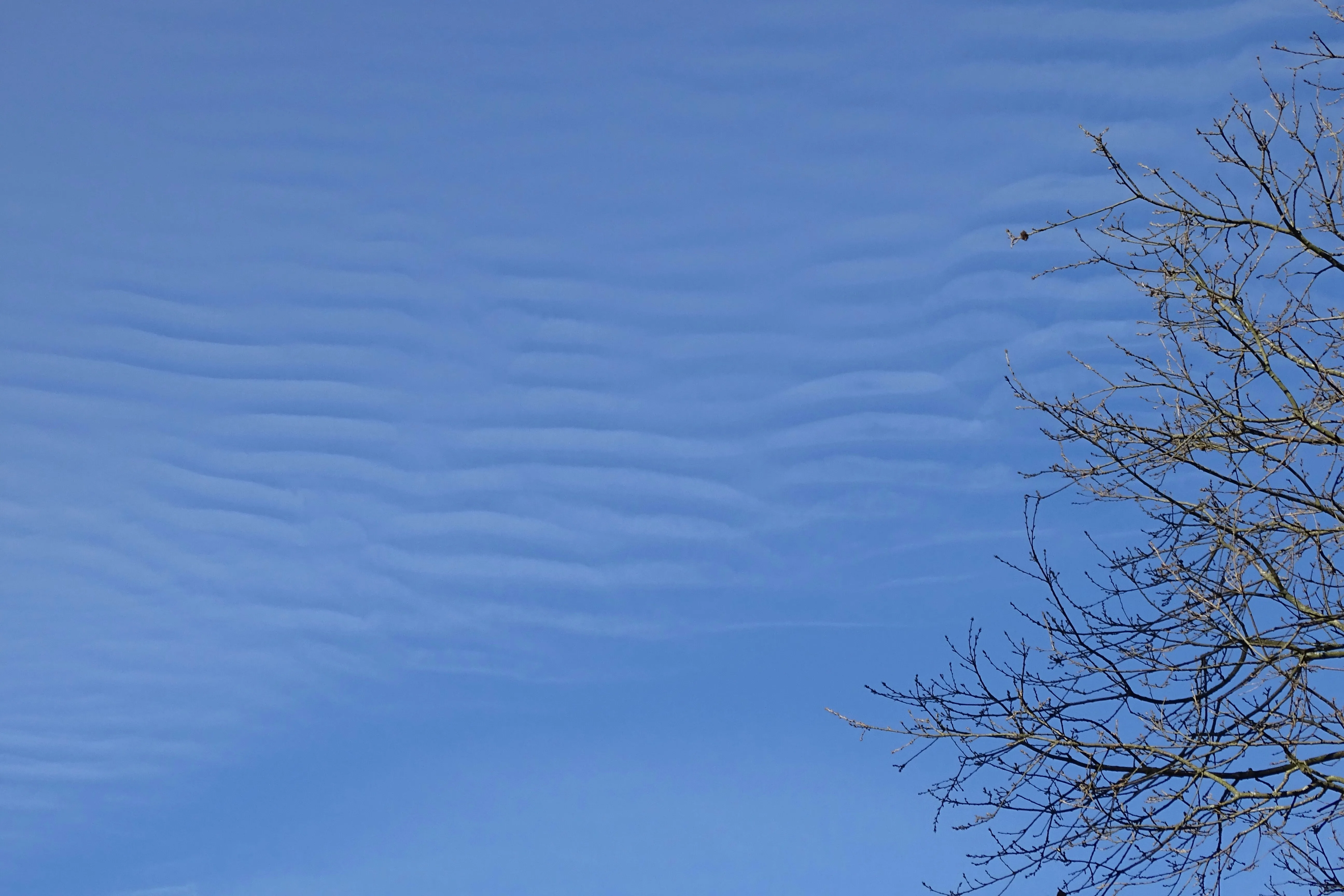 Blue Sky with Scattered Clouds Above Sandy Dunes Image