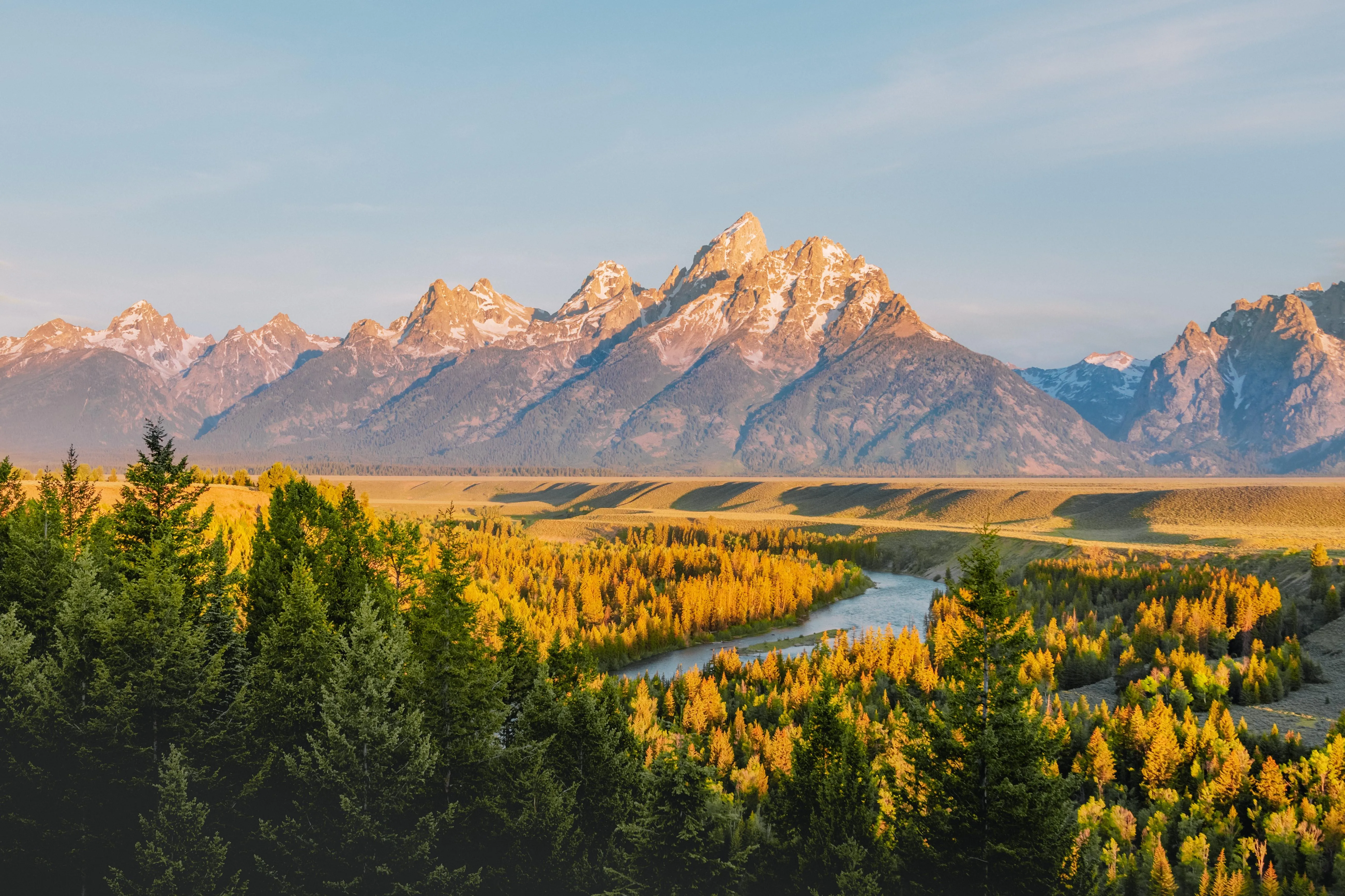 Bright Autumn Trees with Mountain Range in Distance