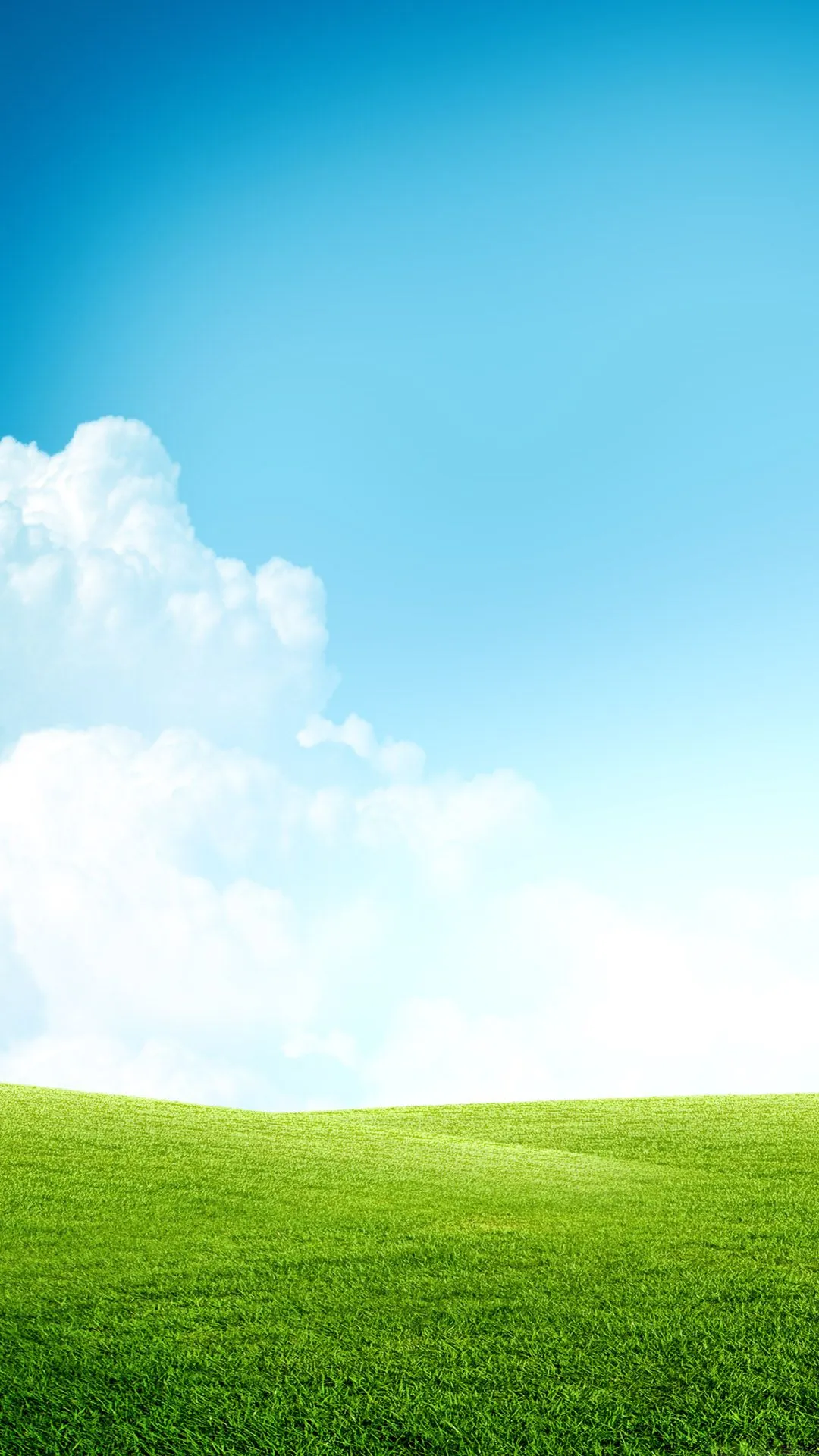 Bright Blue Sky Above Green Grassy Field and Clouds