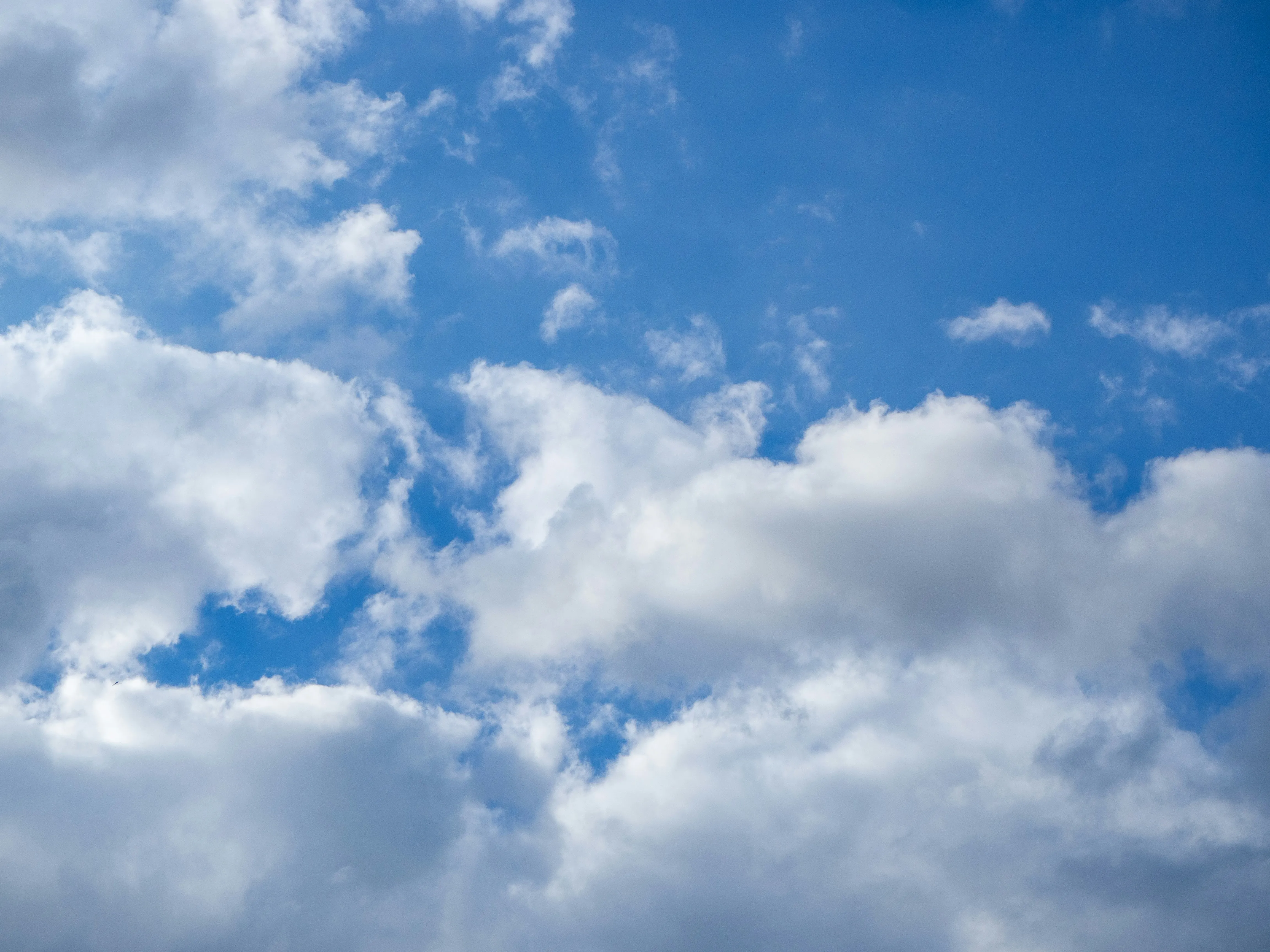 Bright Blue Sky Filled with White Puffy Cumulus Clouds