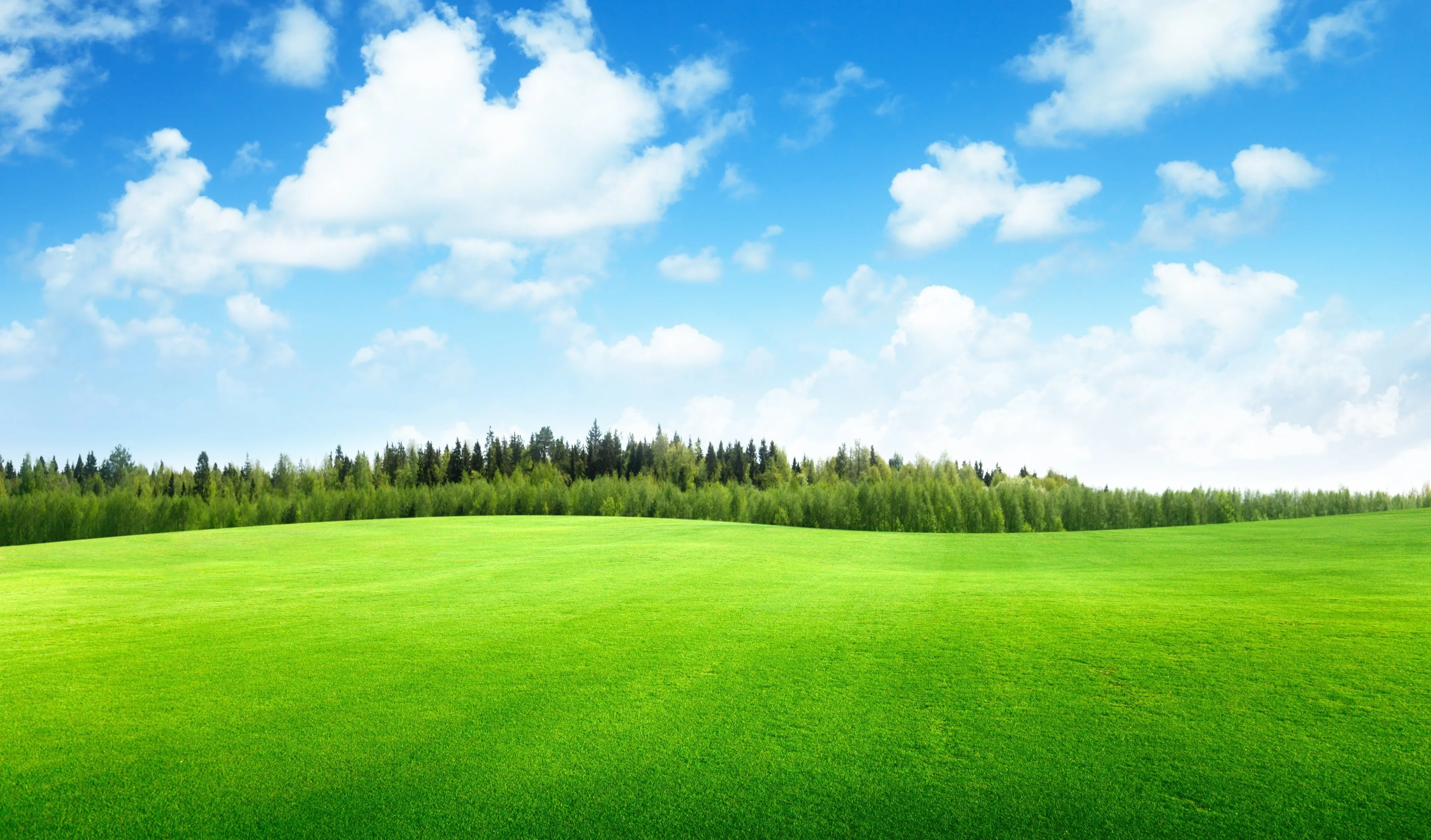 Bright Blue Sky Over Green Field with Scattered Clouds