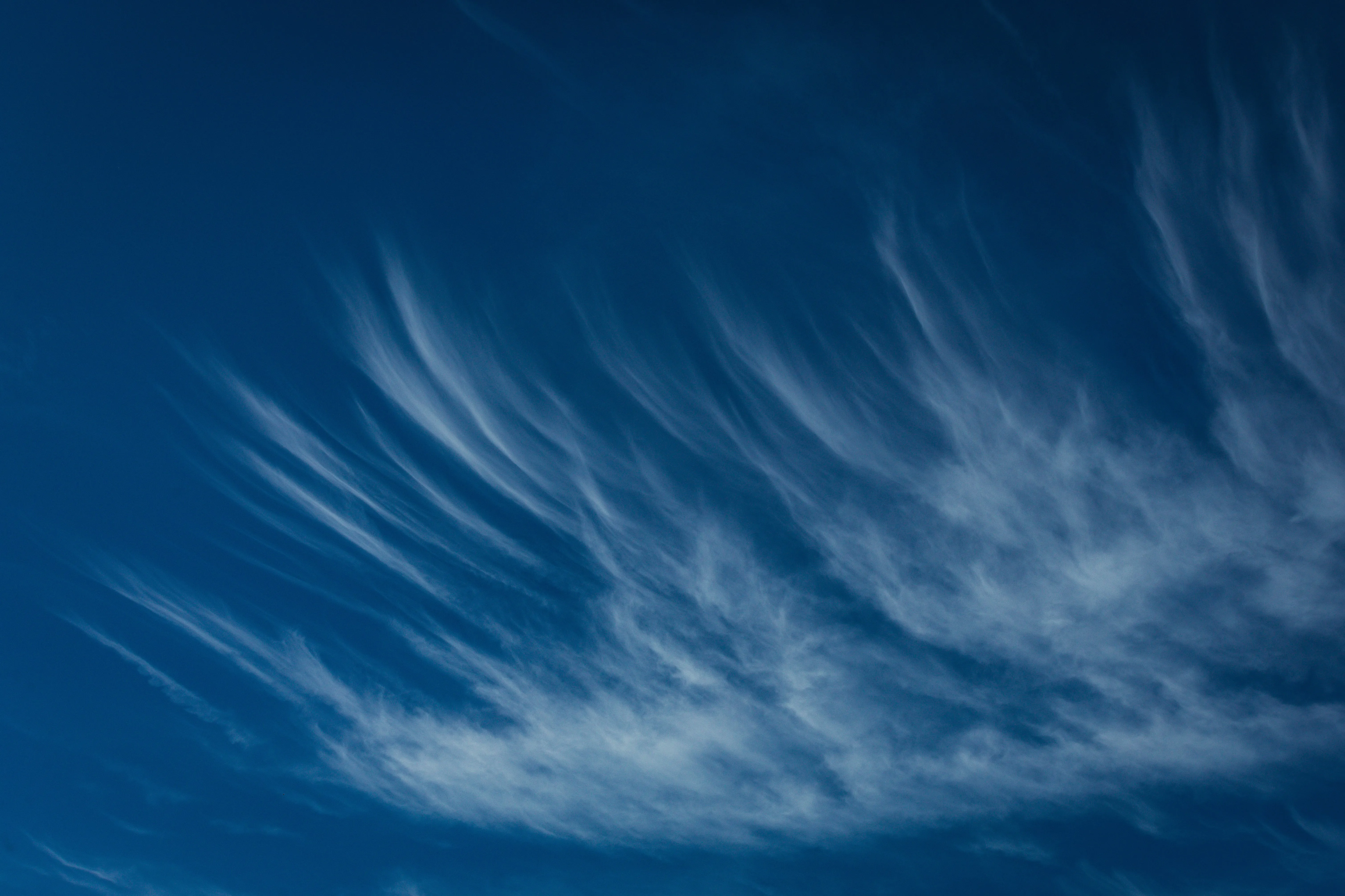 Bright Blue Sky with Long Streaks of Cirrus Clouds Image