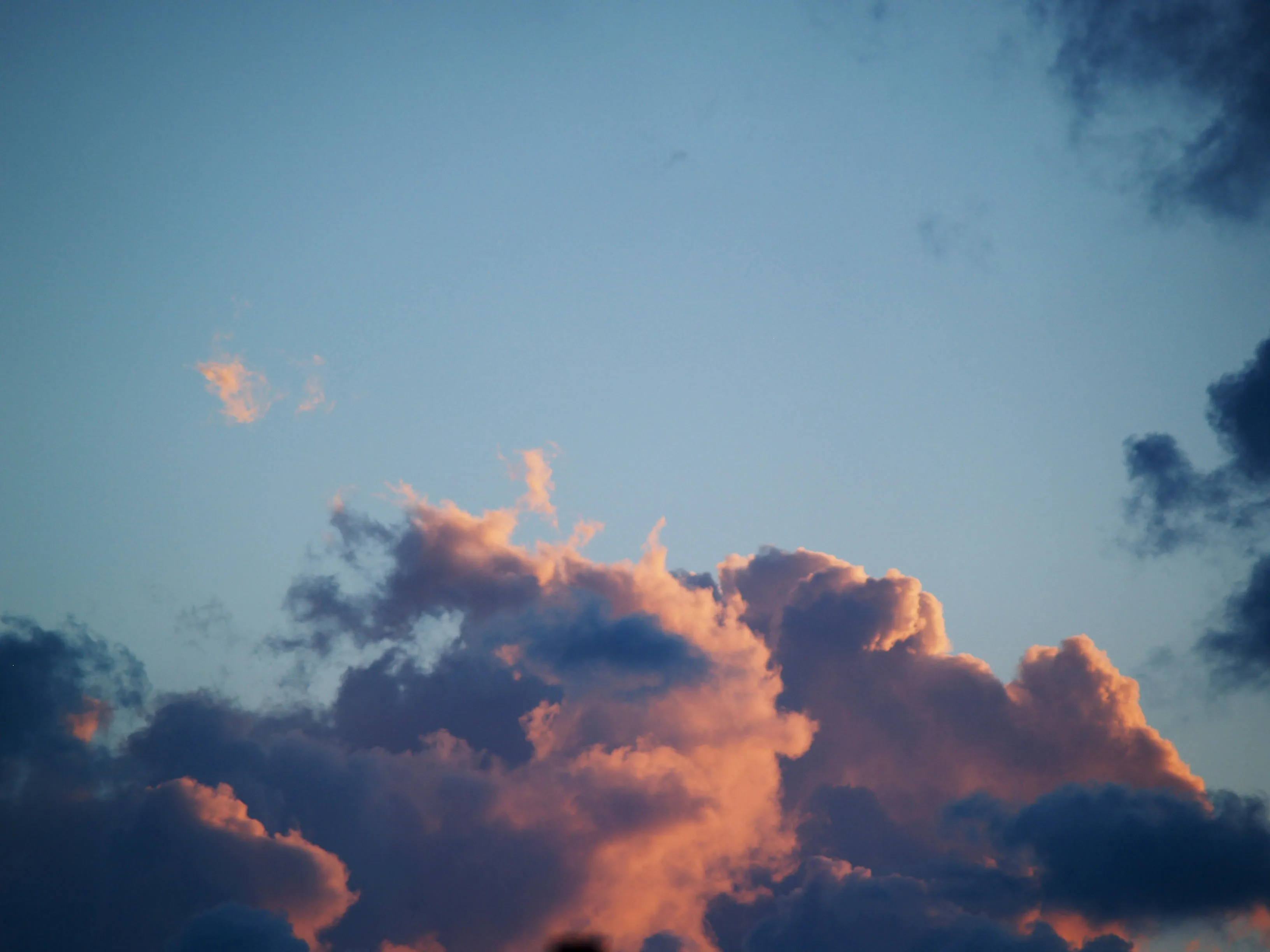 Bright Blue Sky with Pink Clouds at Sunset Wallpaper