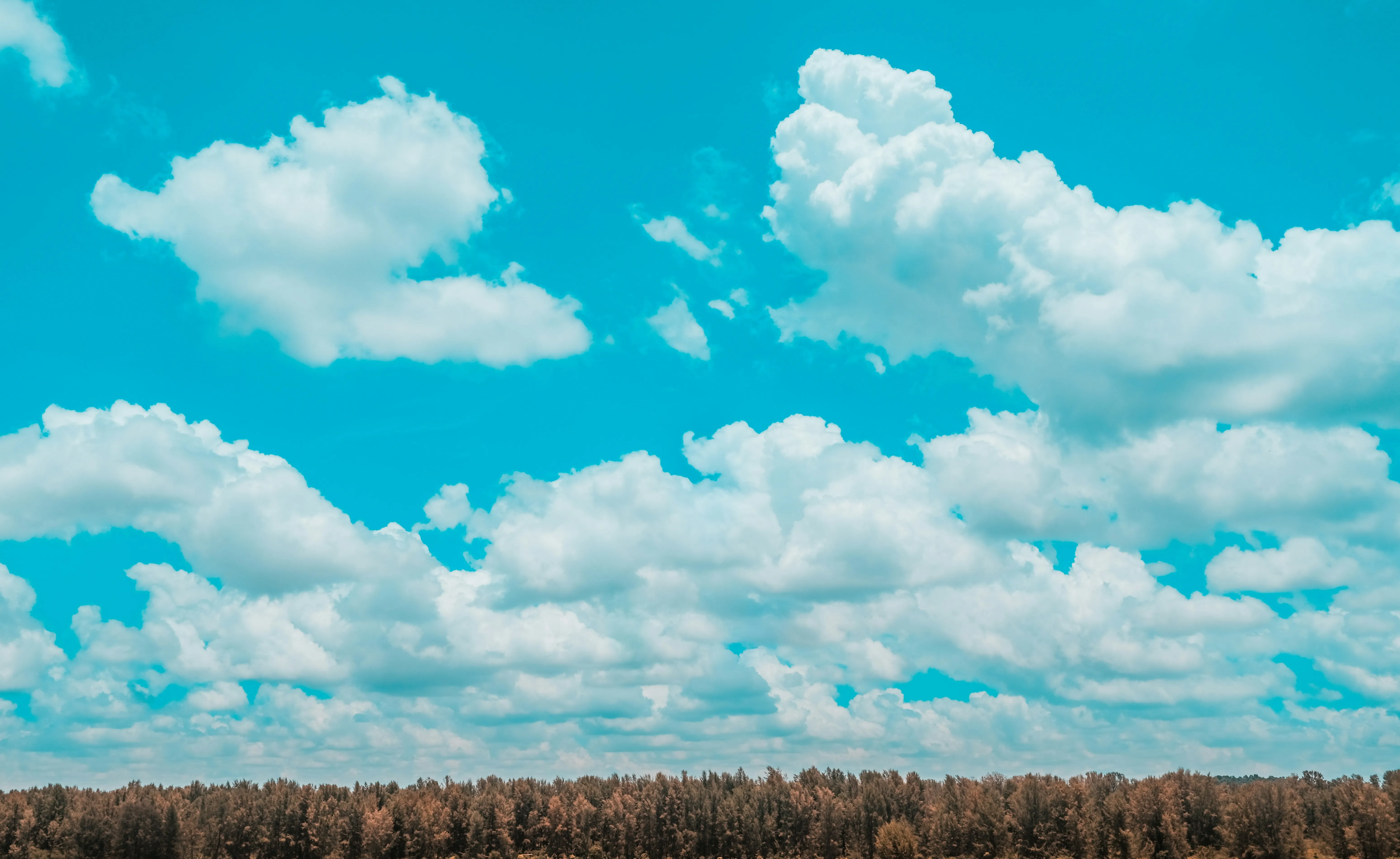 Bright Blue Sky with Puffy Clouds Over Dry Open Field