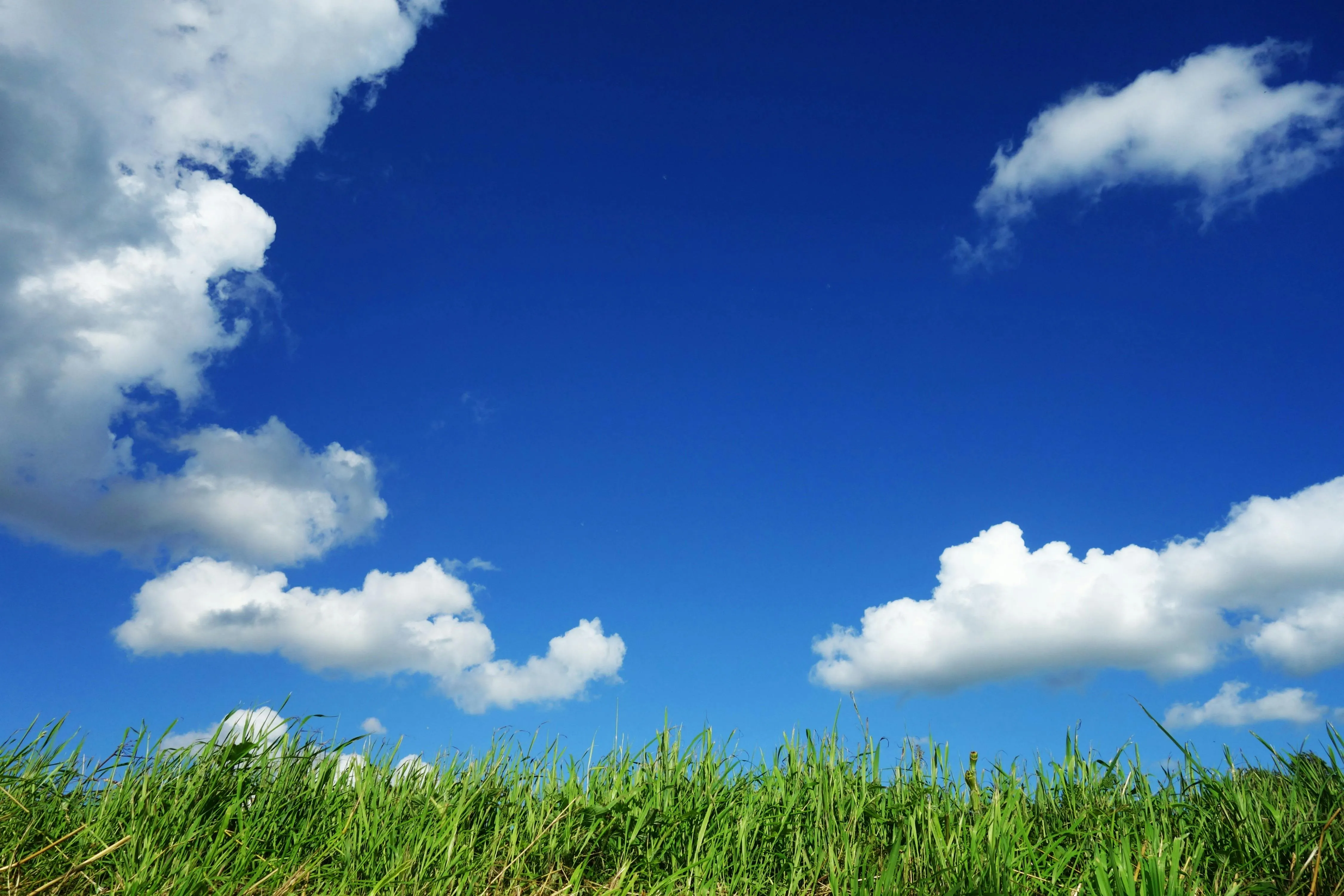 Bright Day with Cumulus Clouds Over Green Field Image
