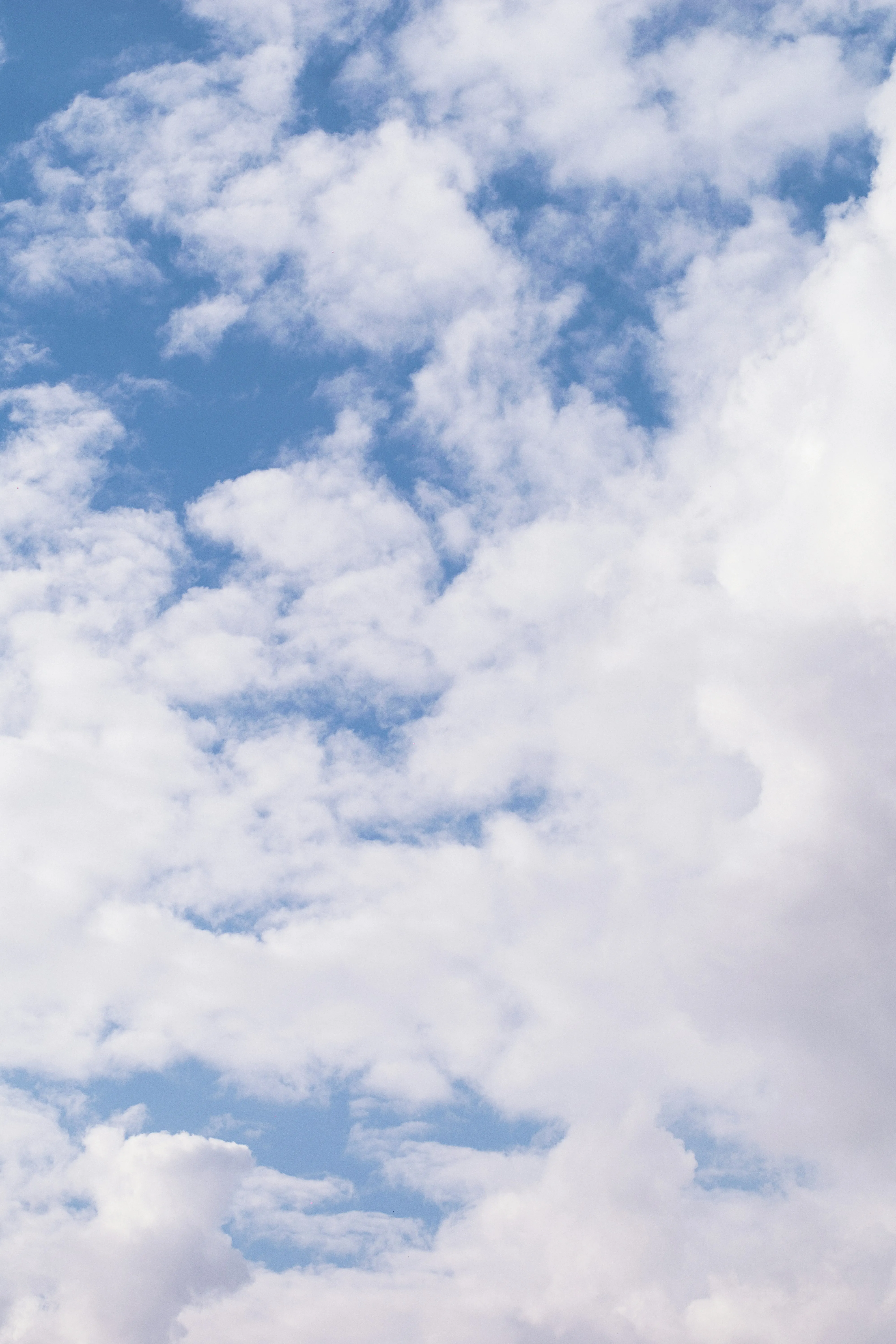 Bright Daytime Sky with Cluster of White Fluffy Clouds