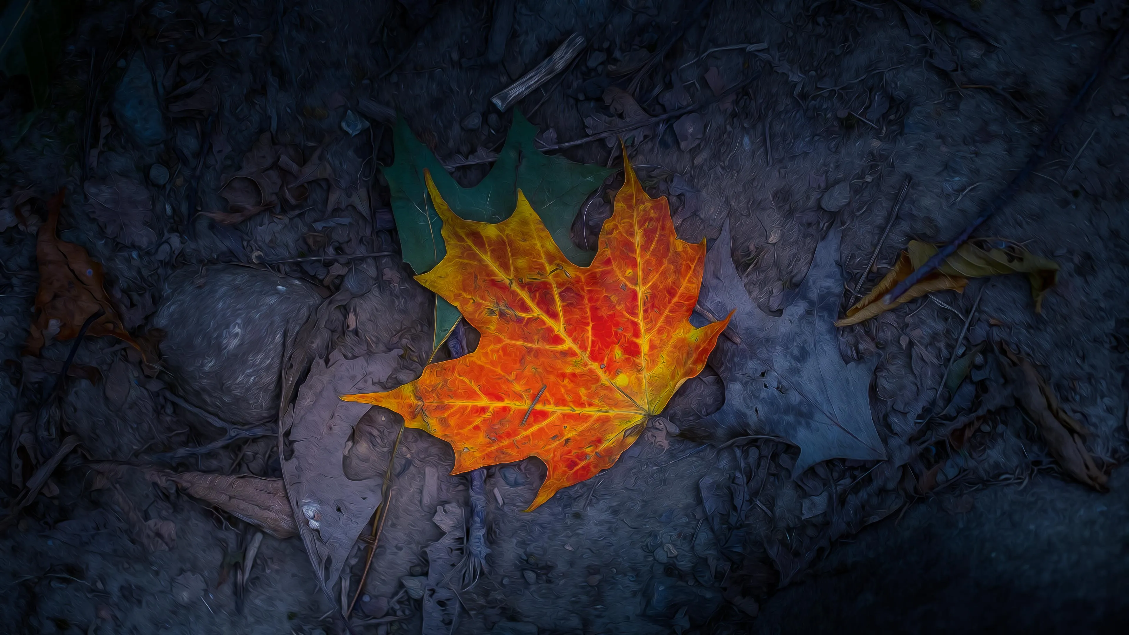 Bright orange autumn leaf on dark forest ground image