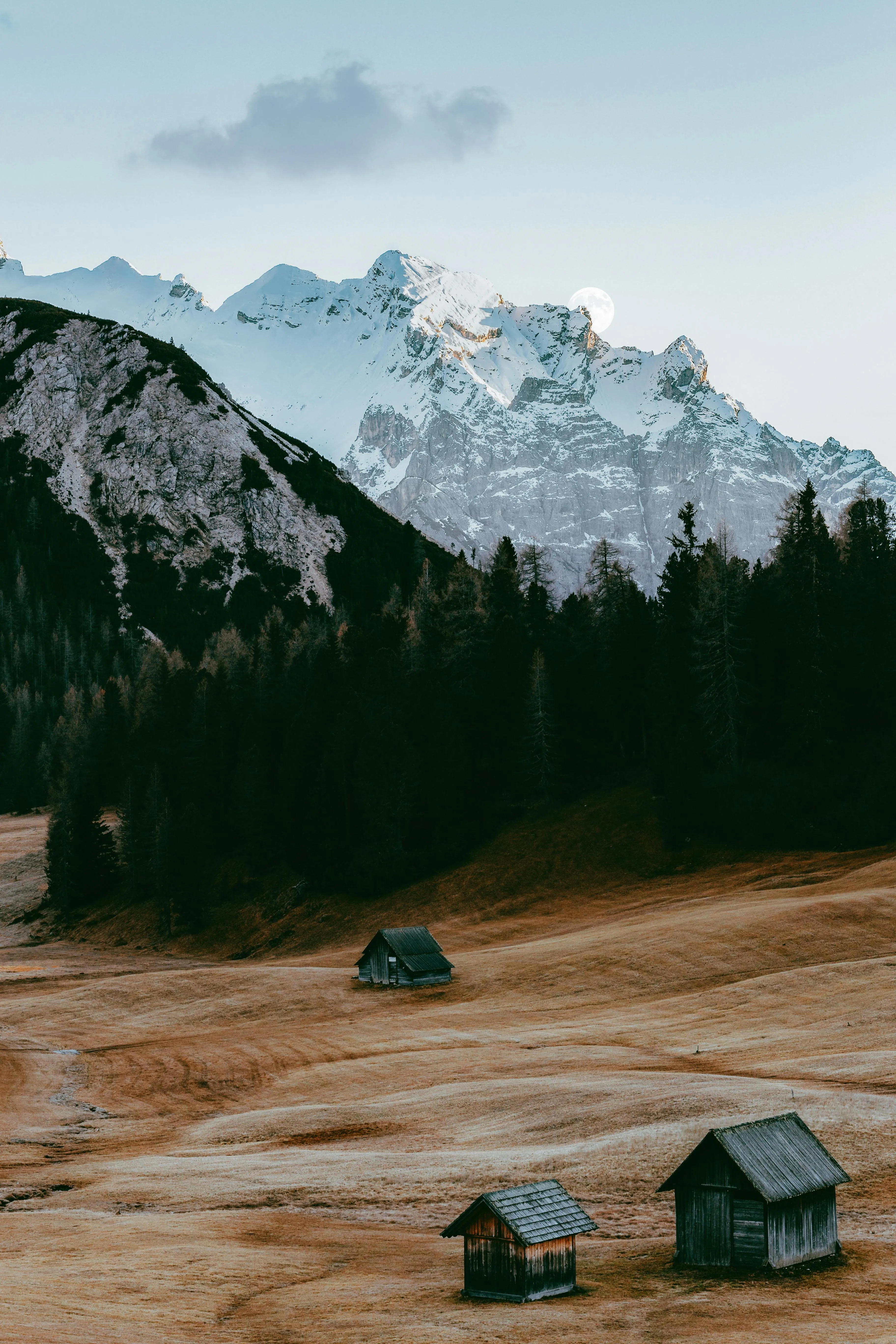 Cabins in a Mountain Forest with Snow and an Open Field