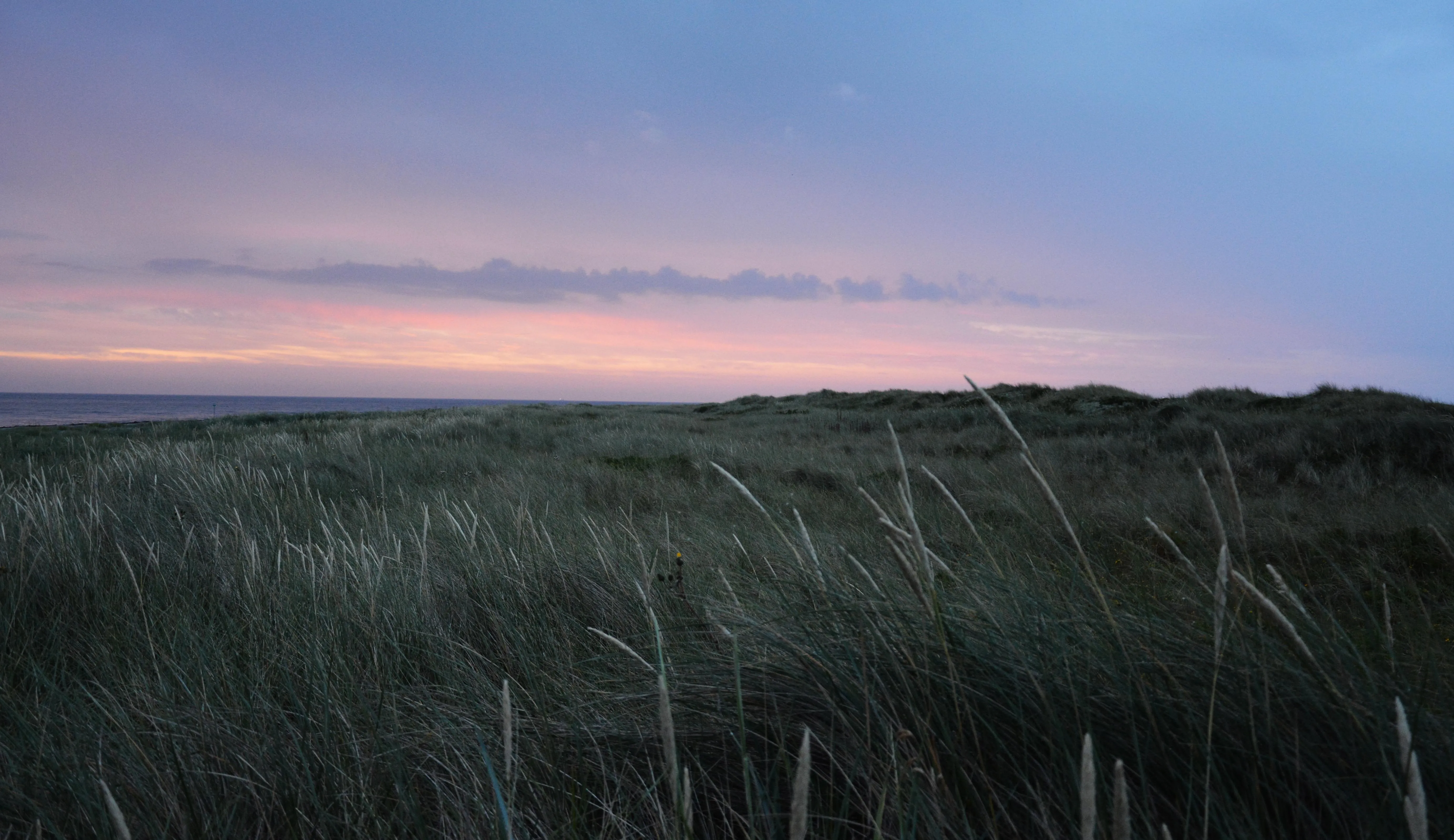 Calm water by shore under soft blue sunset free HD image