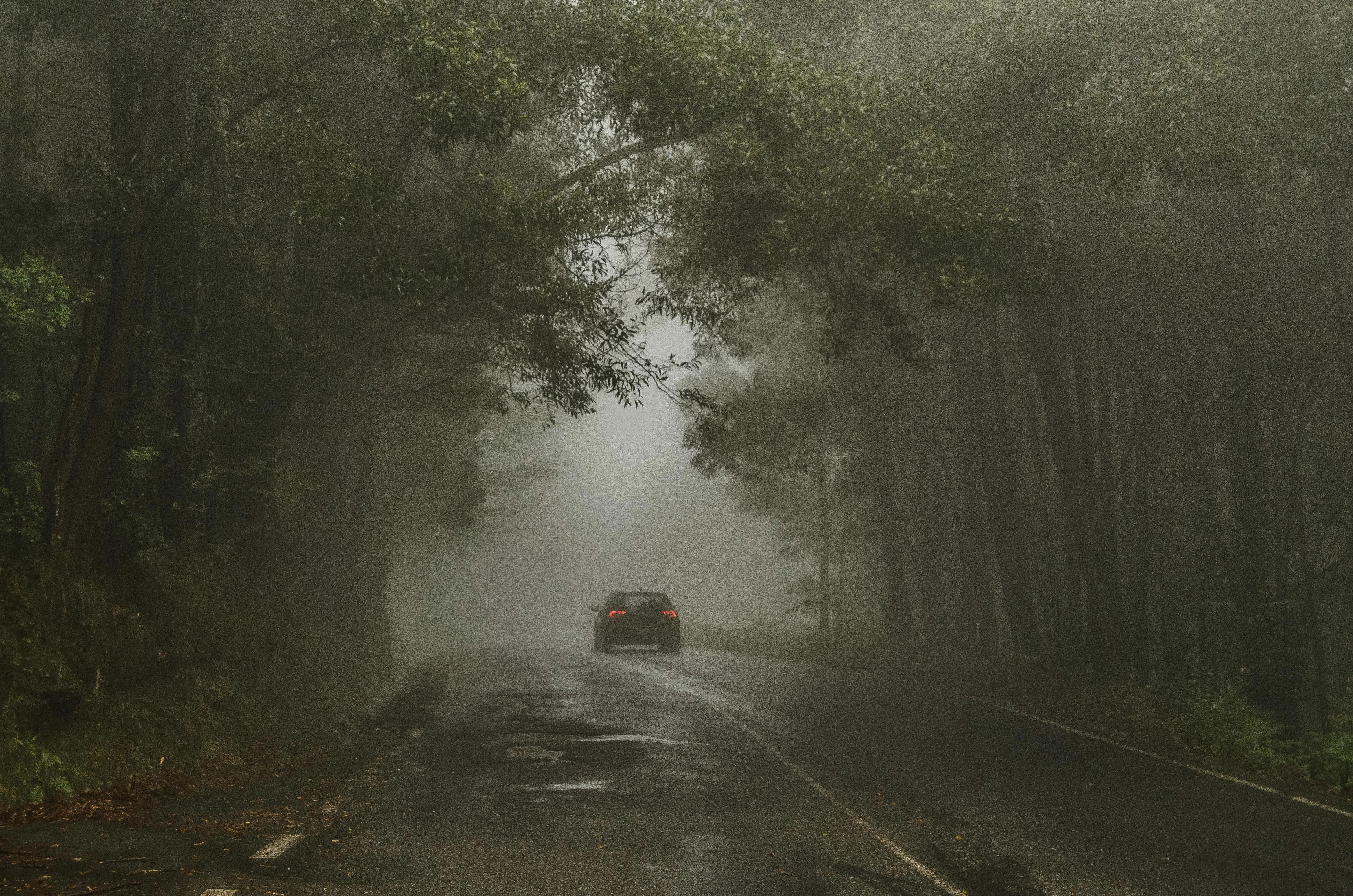 Car Driving Through a Foggy Forest Road Under a Misty Sky