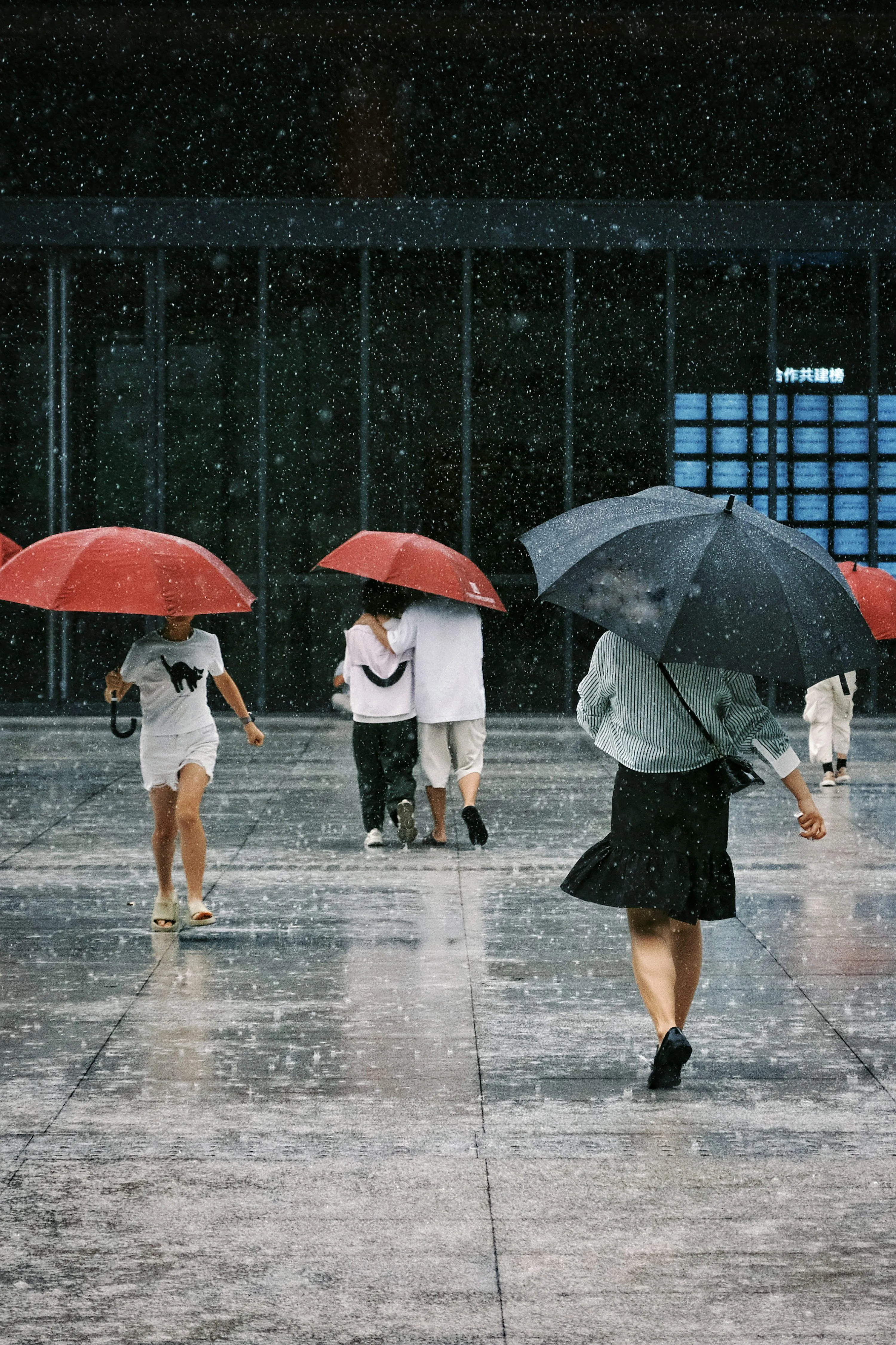 City Street People Walking Under Umbrellas in Rain