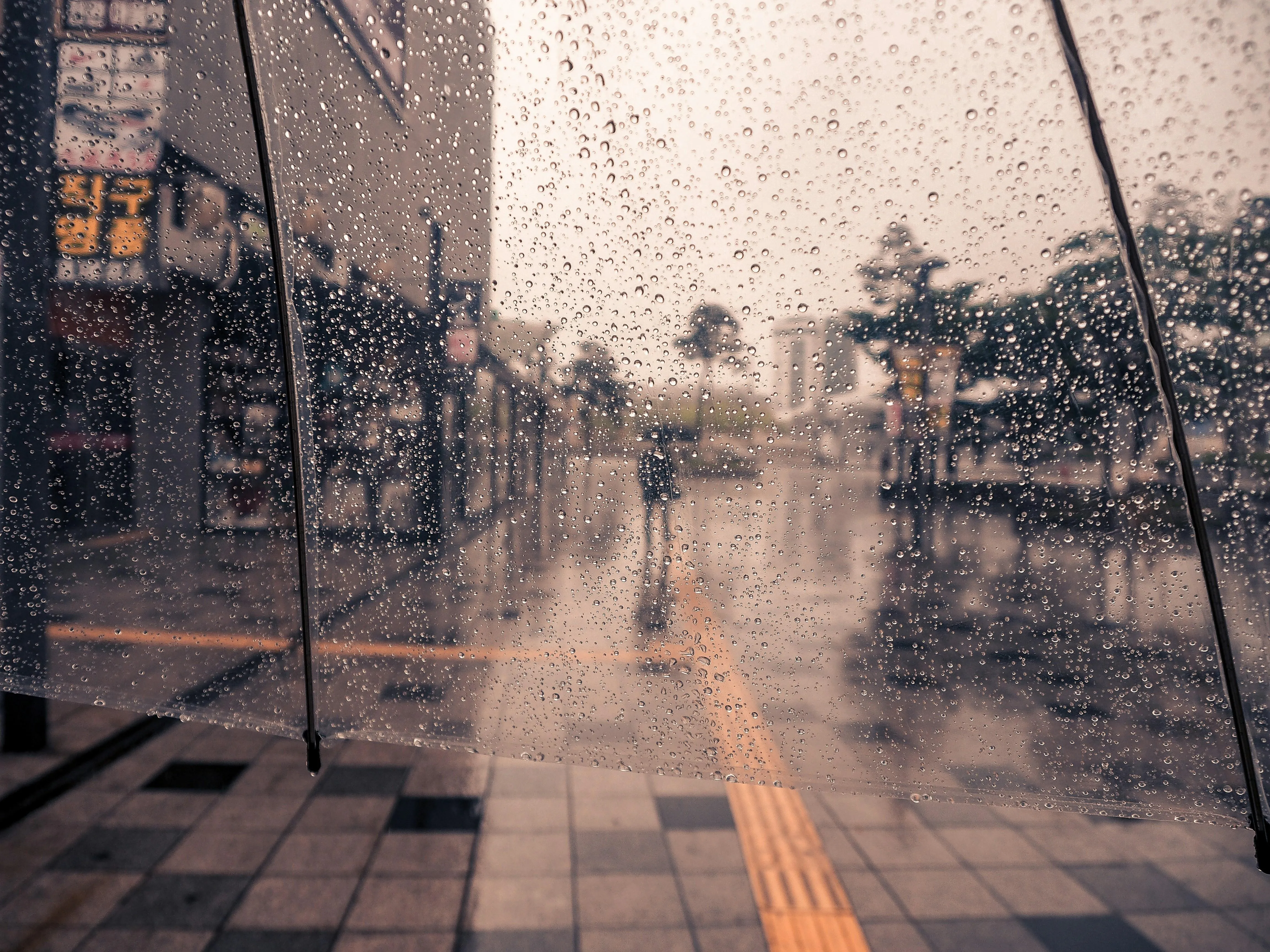 City Traffic Reflections on Wet Street During Rain Image