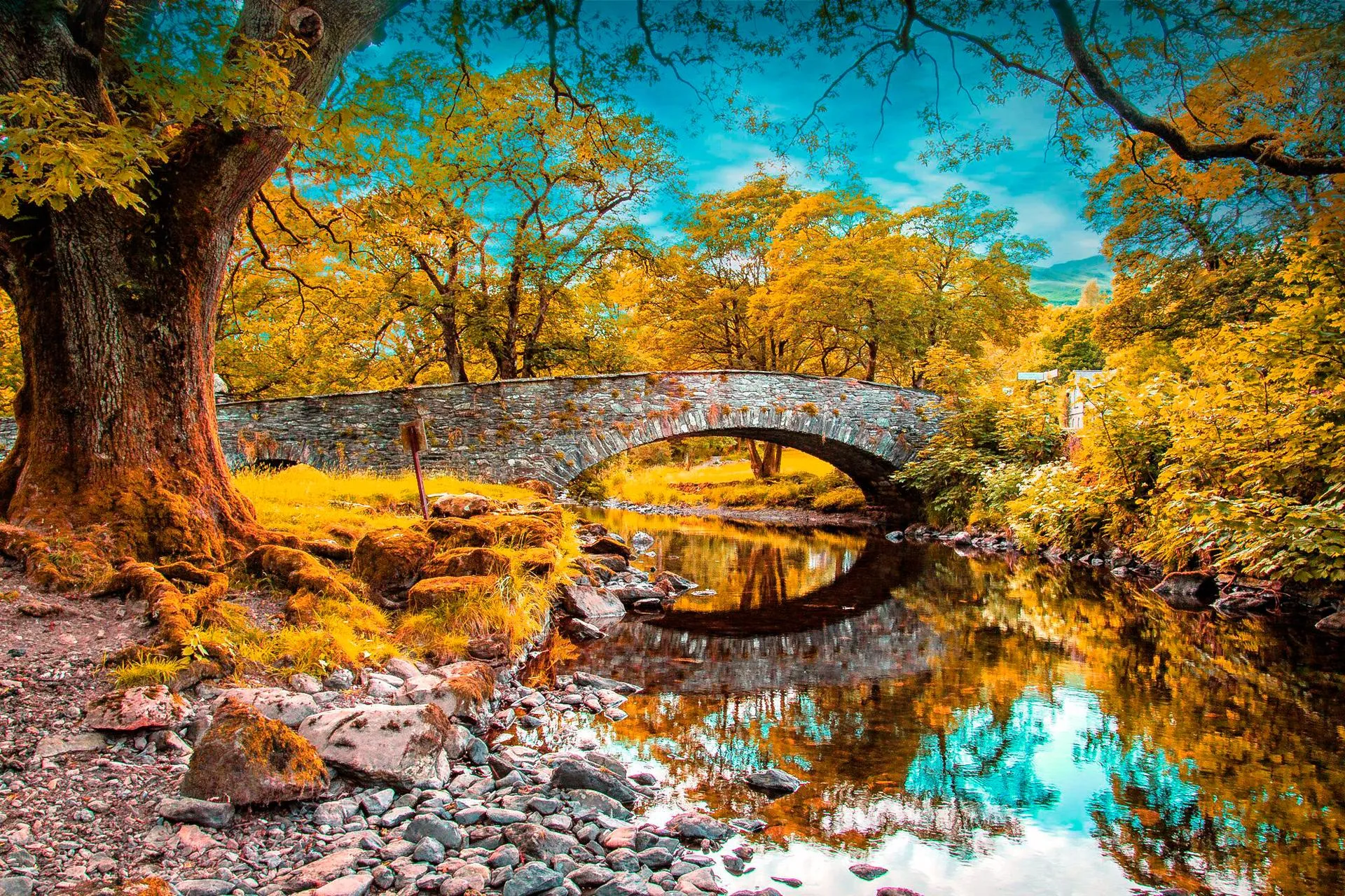 Clear blue pond in forest with autumn colored trees
