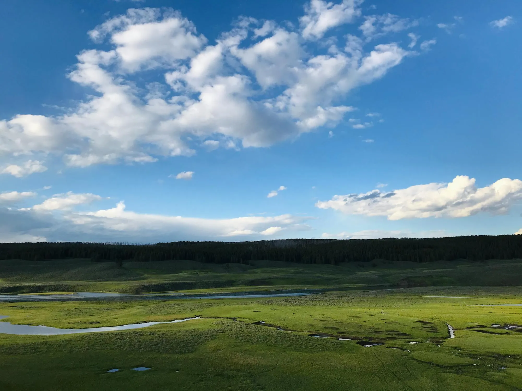 Clear Blue Sky with Fluffy Clouds Over Wide Green Landscape