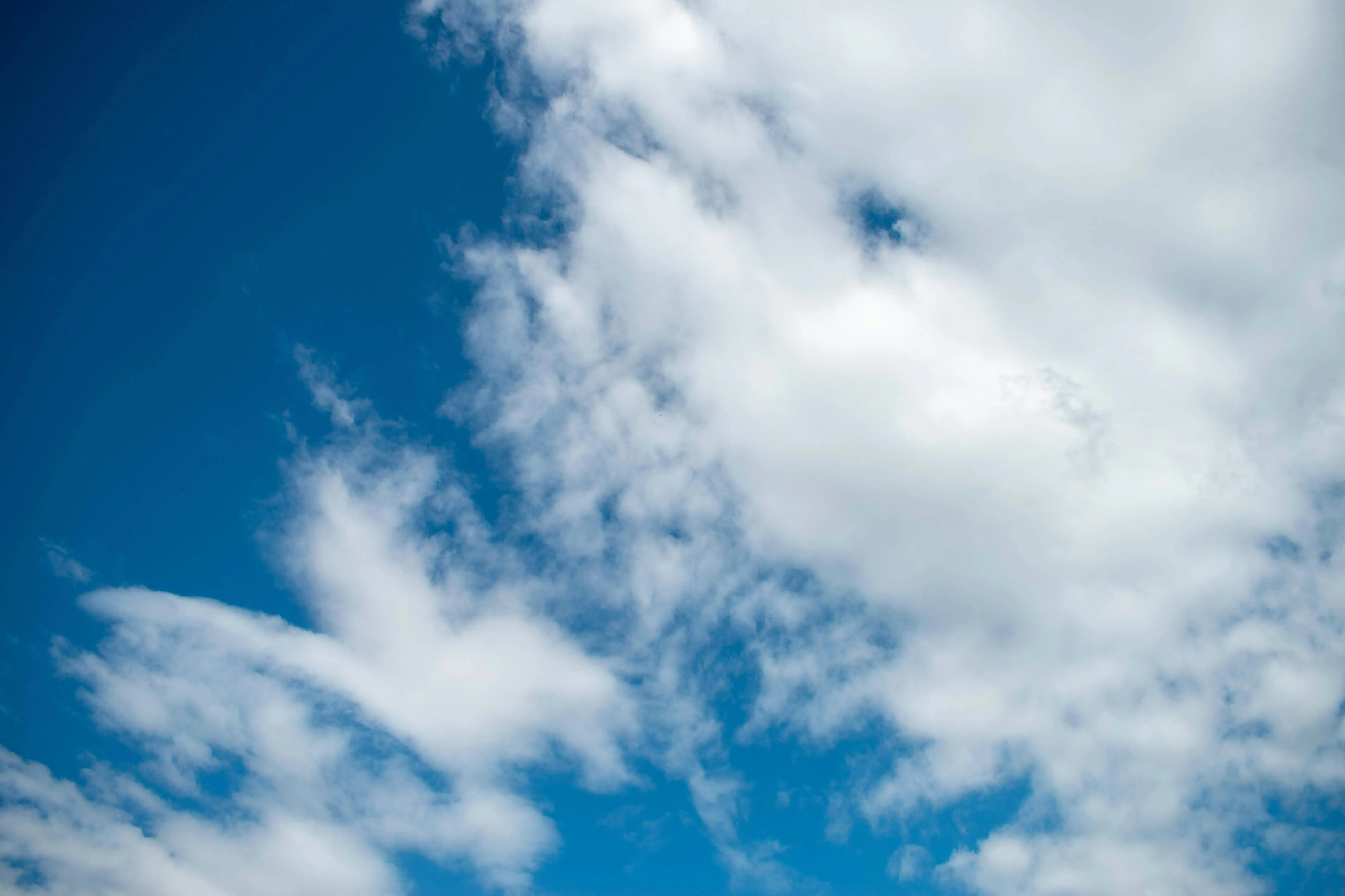 Clear Blue Sky with Fluffy White Clouds Floating Gently