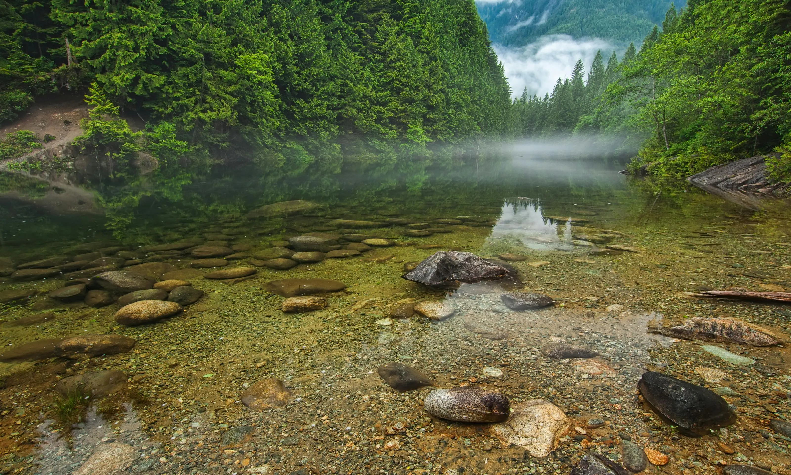 Clear Forest Lake with Stones Beneath a Calm Surface View