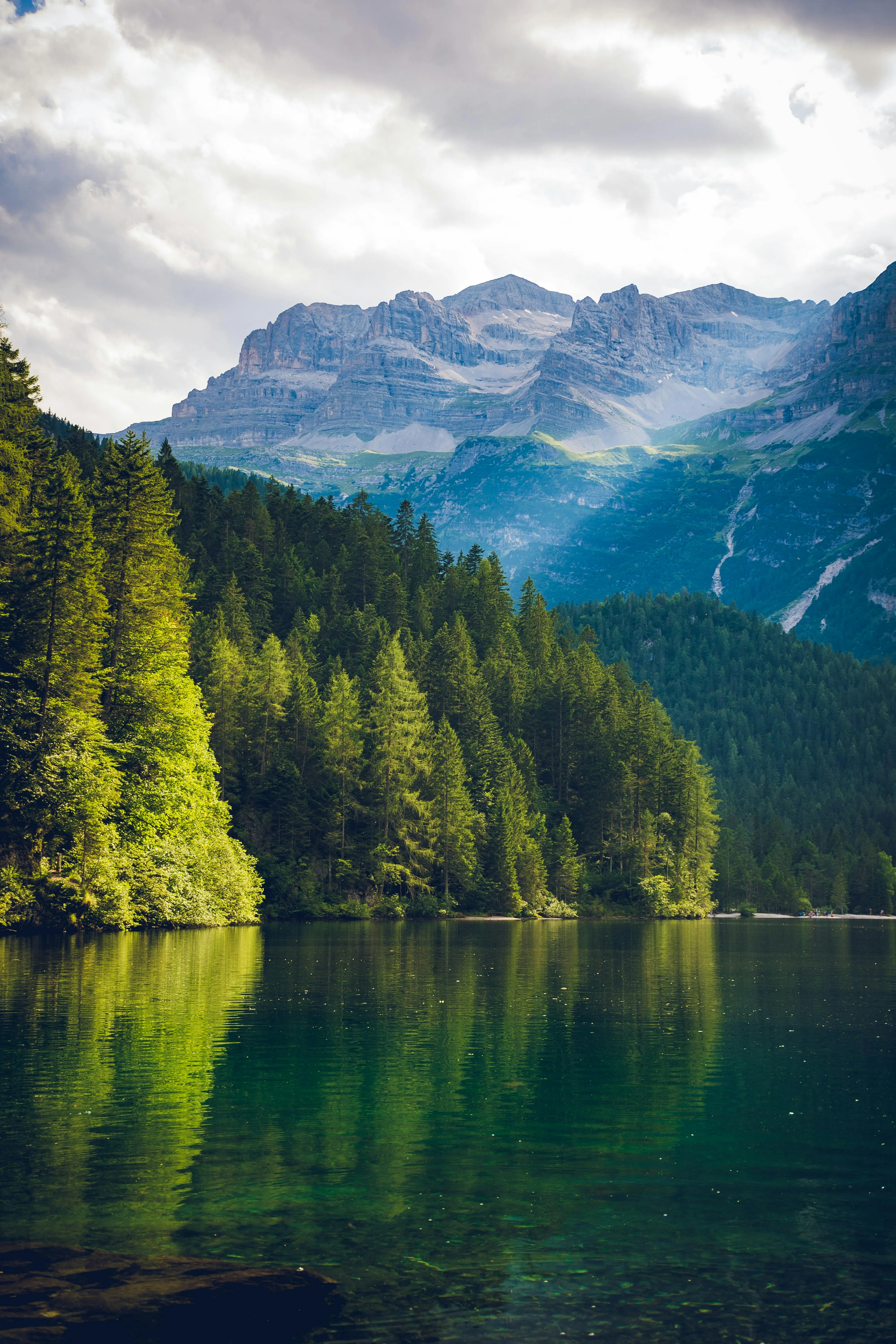Clear Green Lake Surrounded By Tall Trees and Mountains