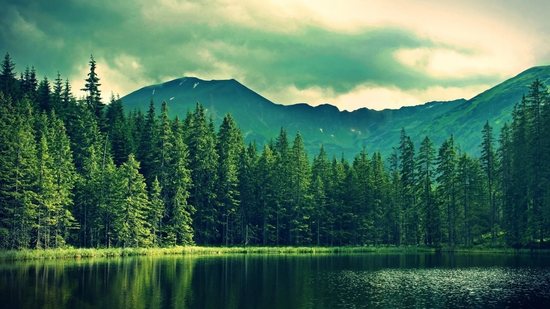 Clear Lake Reflecting Lush Forest and Mountains on Calm Day