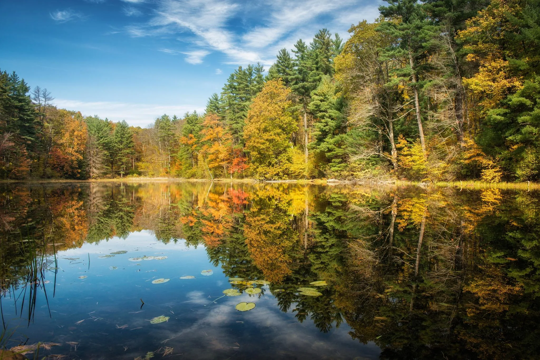 Clear Lake with Reflections Surrounded by Forest Trees