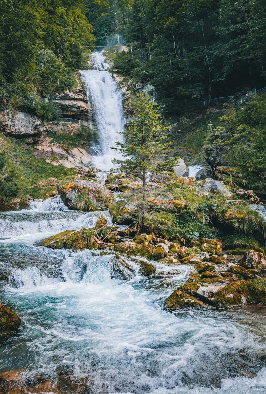 Clear River Cascading Over Rocks Through a Mountain Forest