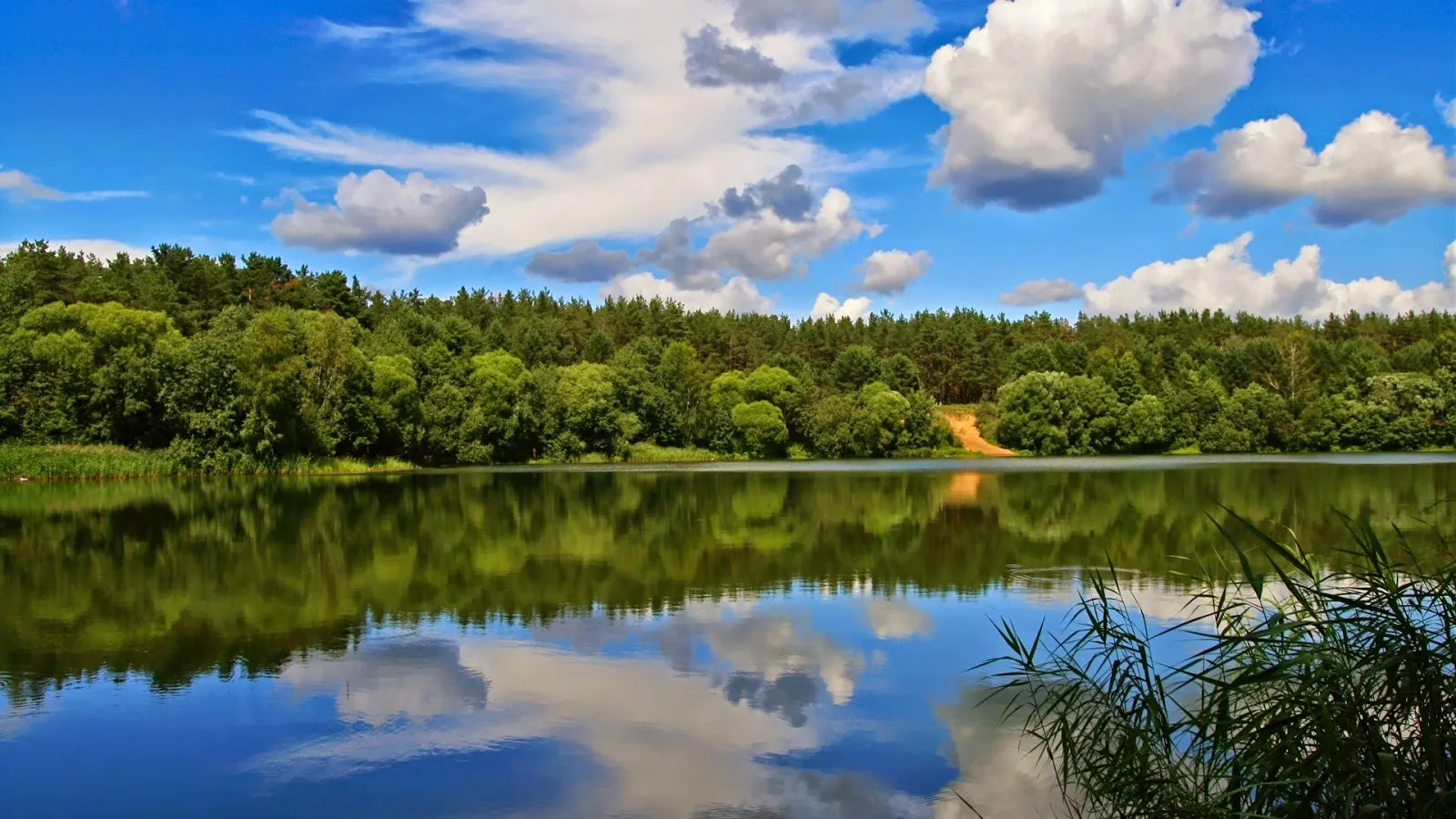 Clear Sky Clouds Reflected in a Peaceful Lake Wallpaper