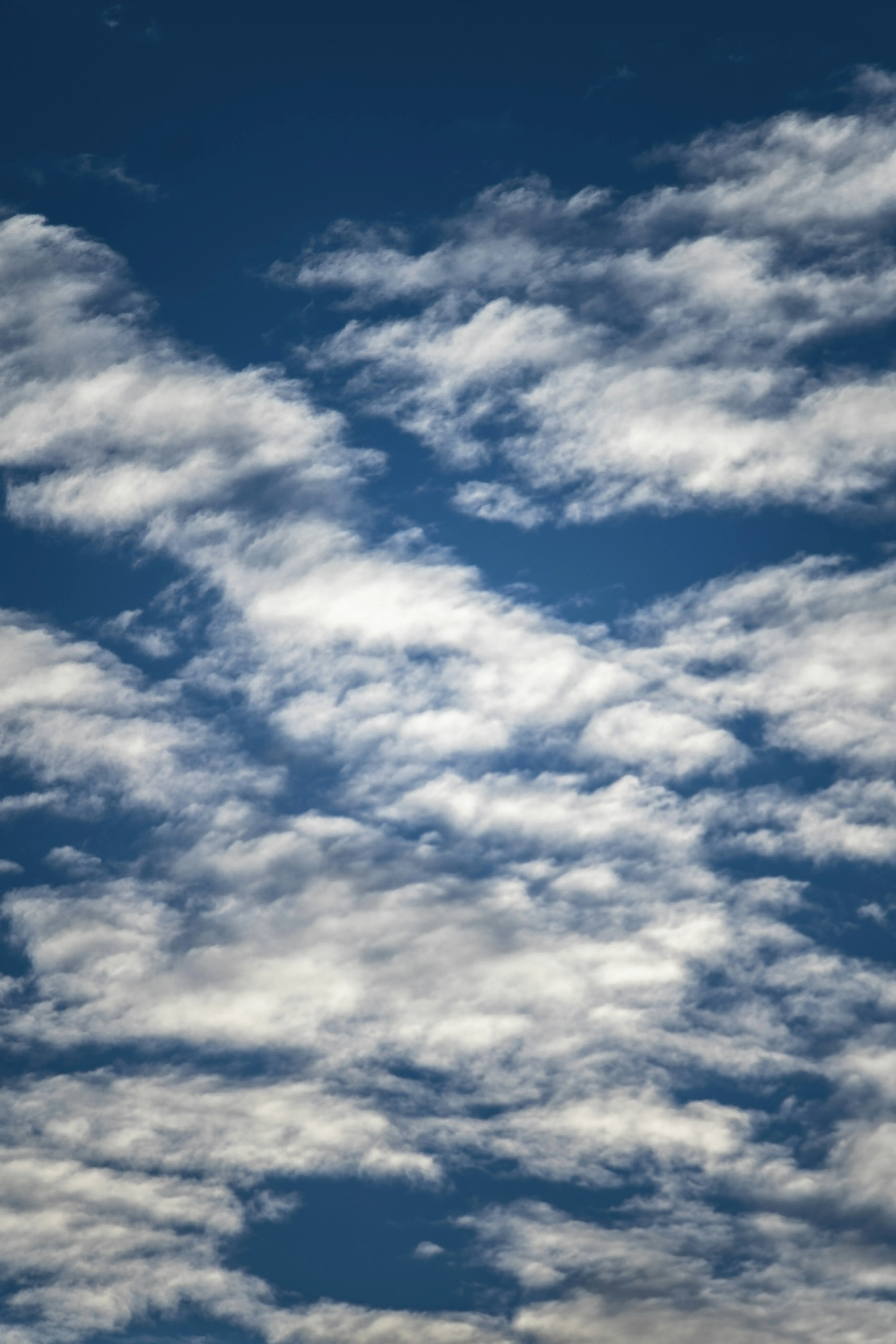 Clear Sky with Many White Puffy Clouds and Blue Background