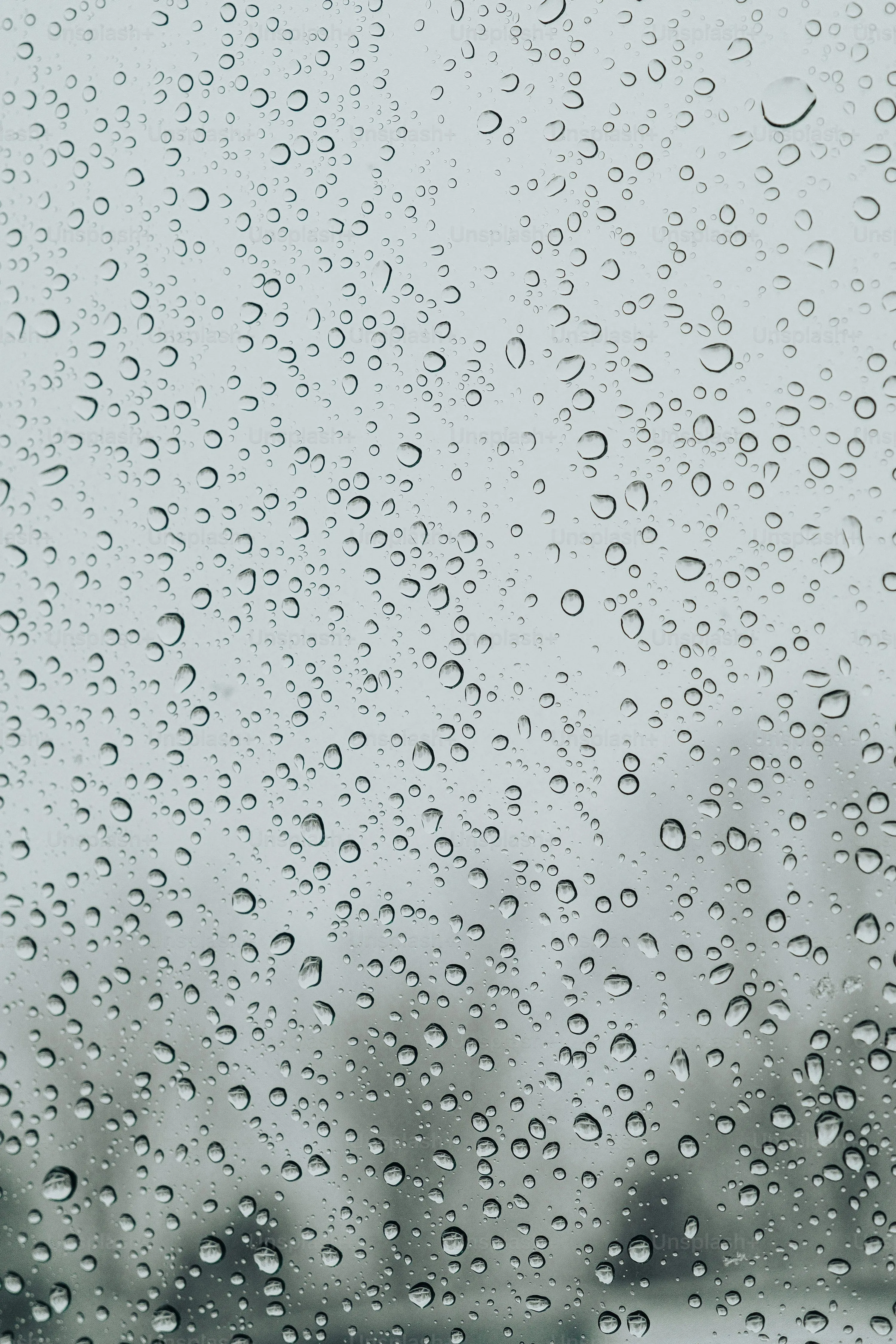 Closeup of Rainfall on Glass During Stormy Day Wallpaper