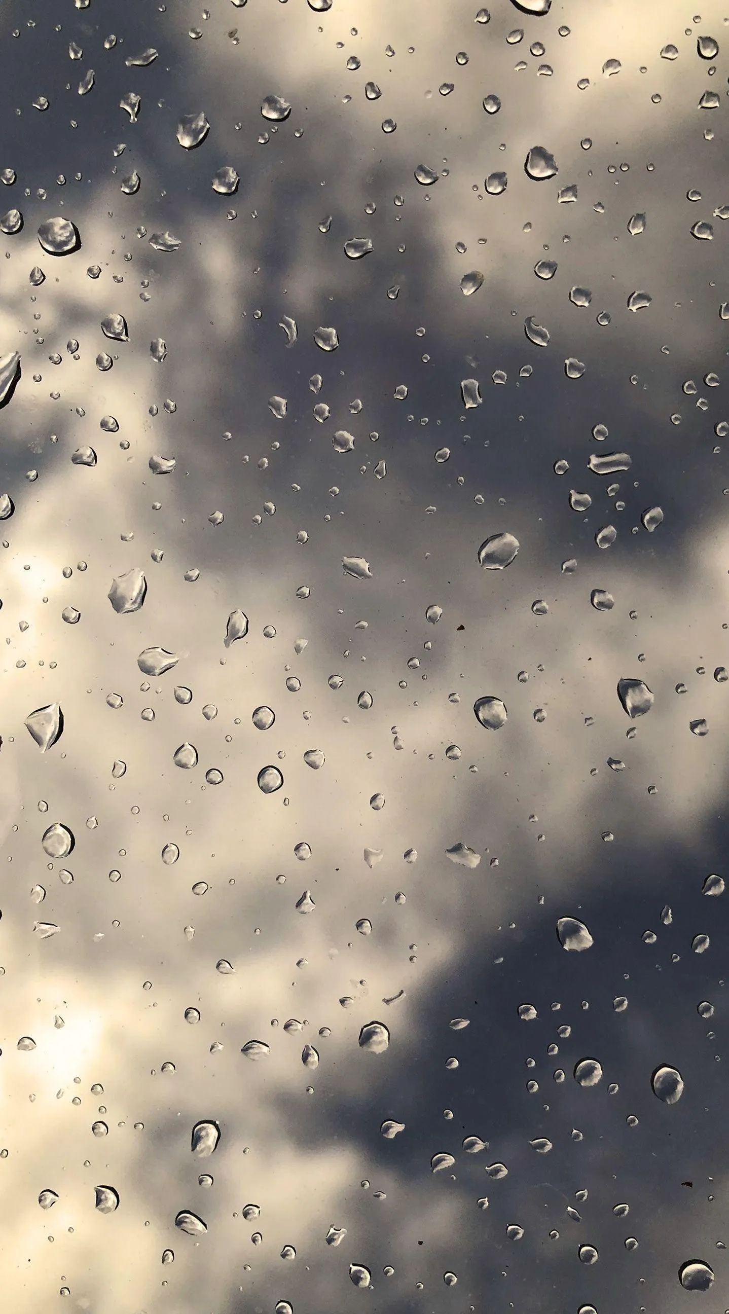 Cloudy Sky with Light Rain Over City Buildings Wallpaper