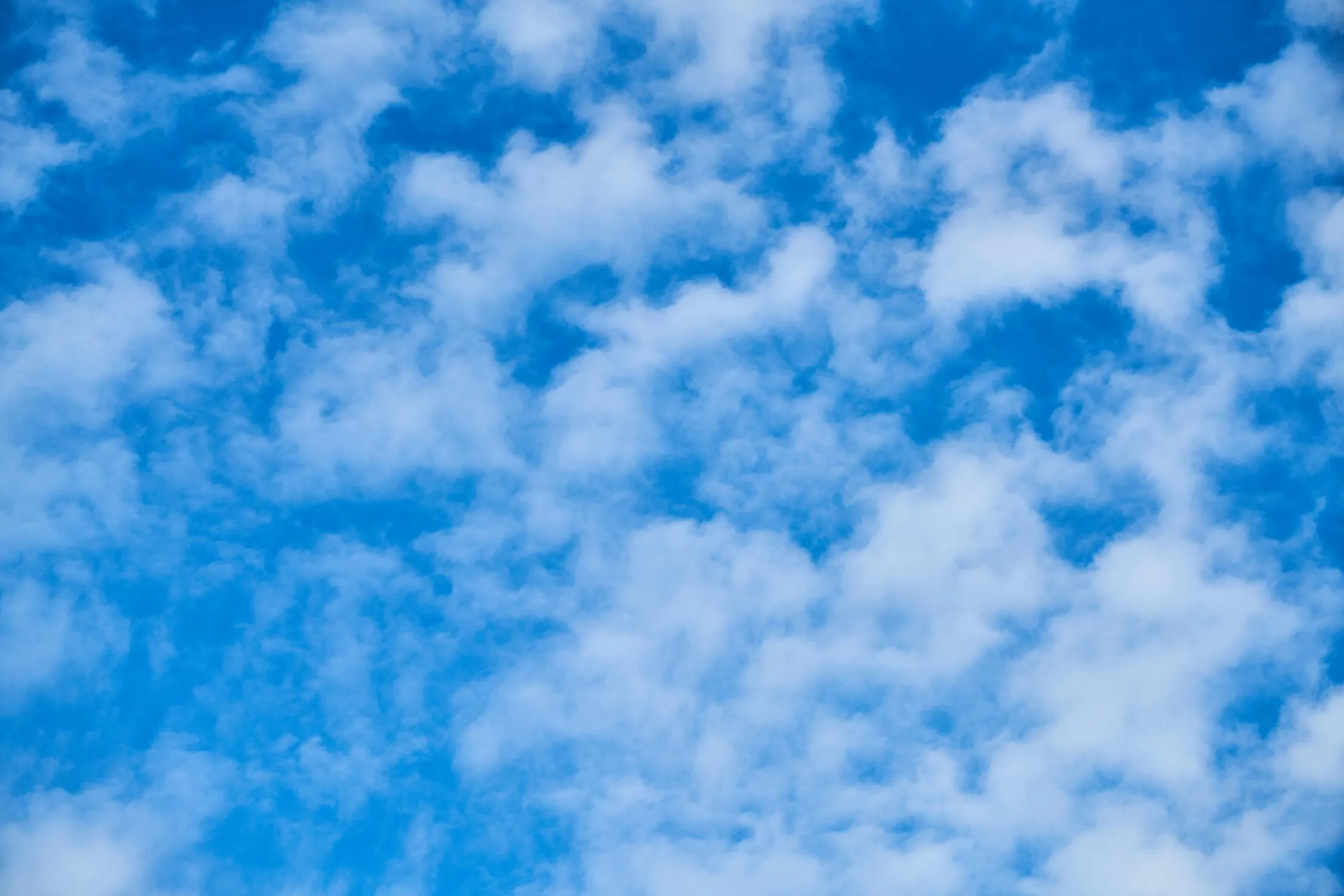 Cluster of Fluffy White Clouds Against Bright Blue Sky