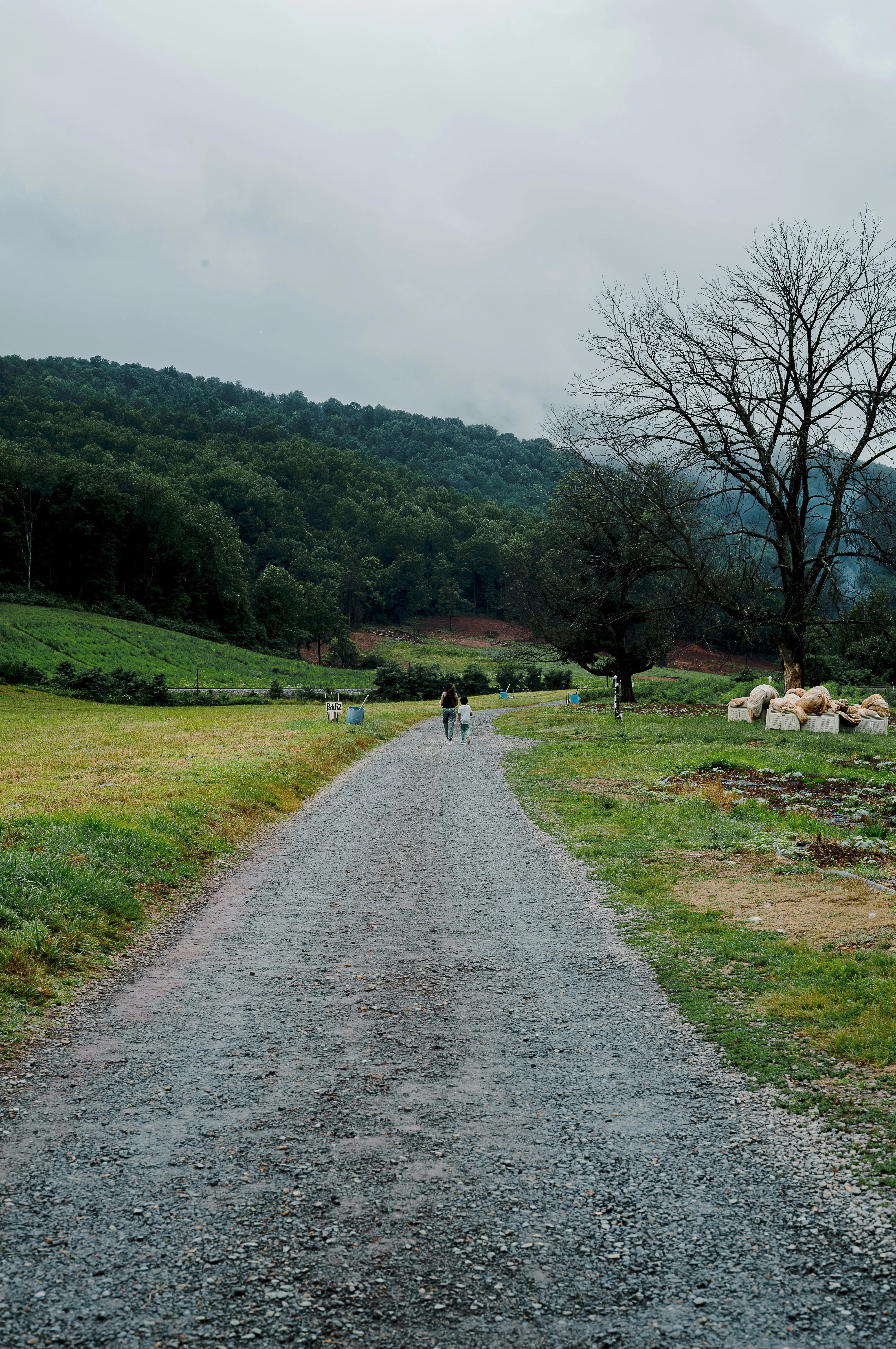 Country Road Leading To Hills with Clouds in Evening Light