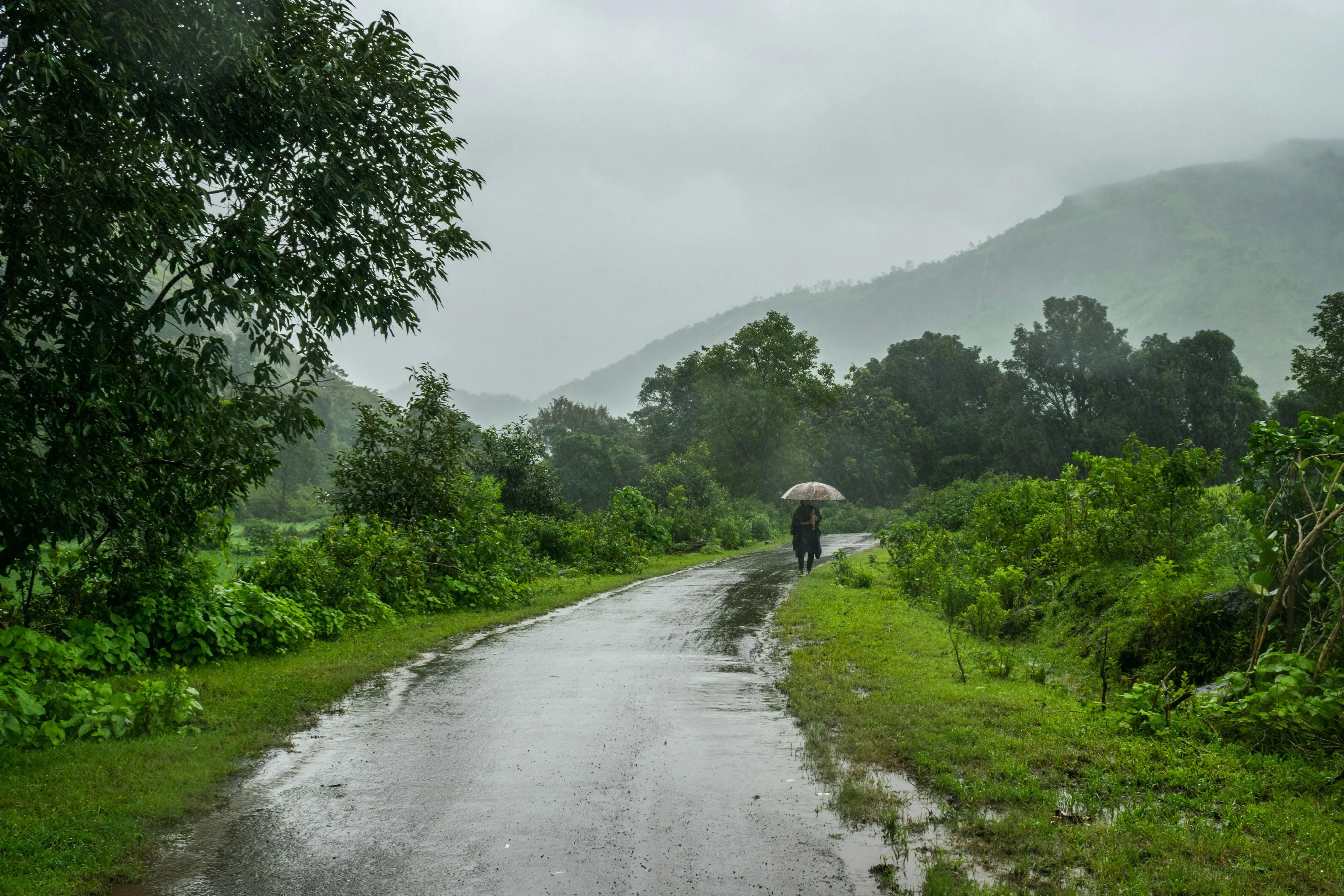 Country Road Surrounded By Hills During Gentle Rain