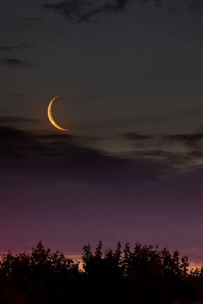 Crescent Moon Over Silhouetted Trees During Dusk Image