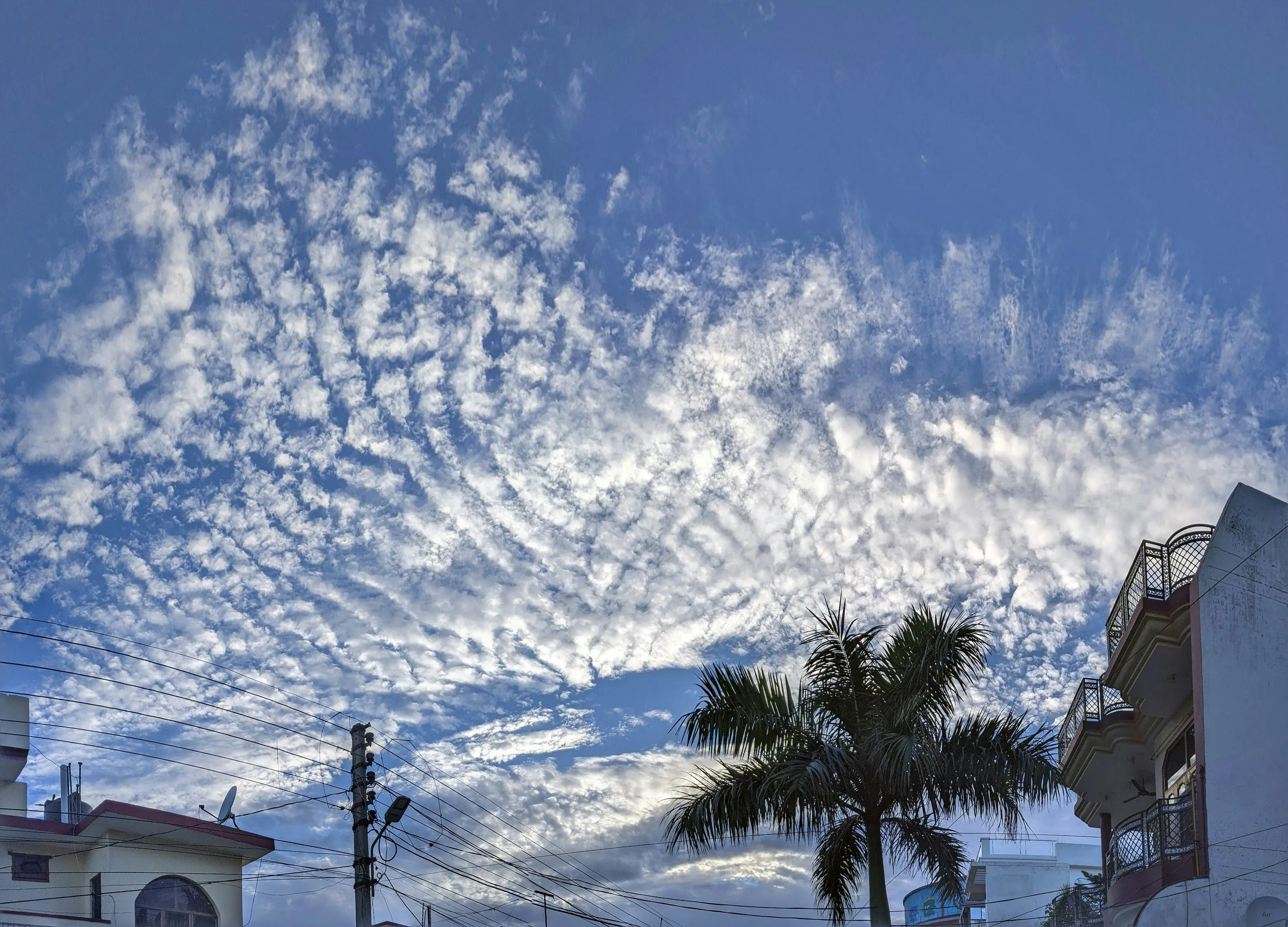 Crisp Cirrocumulus Clouds Scattered Across Wide Blue Sky