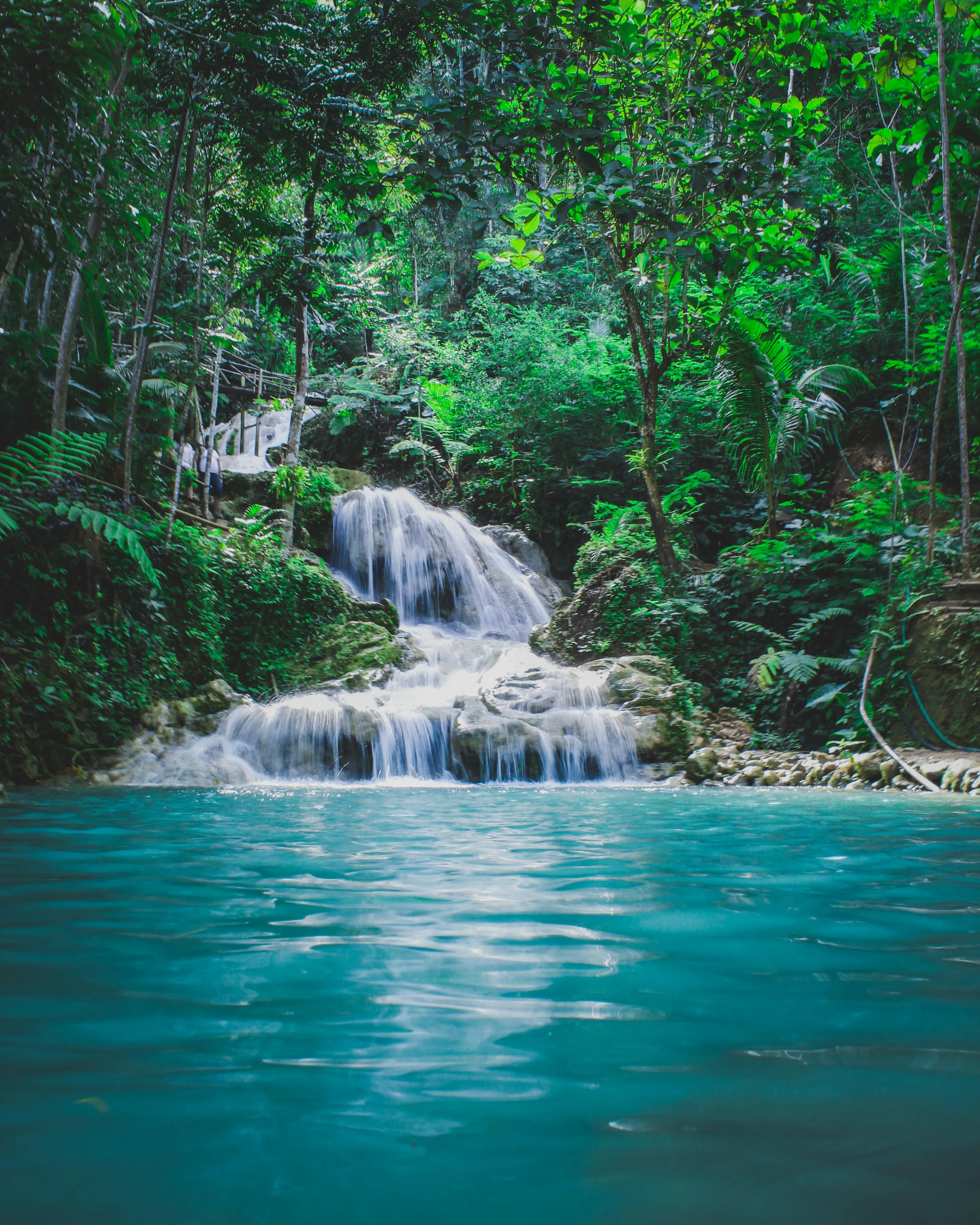 Crystal Waterfall Spilling Into a Turquoise Forest Pool