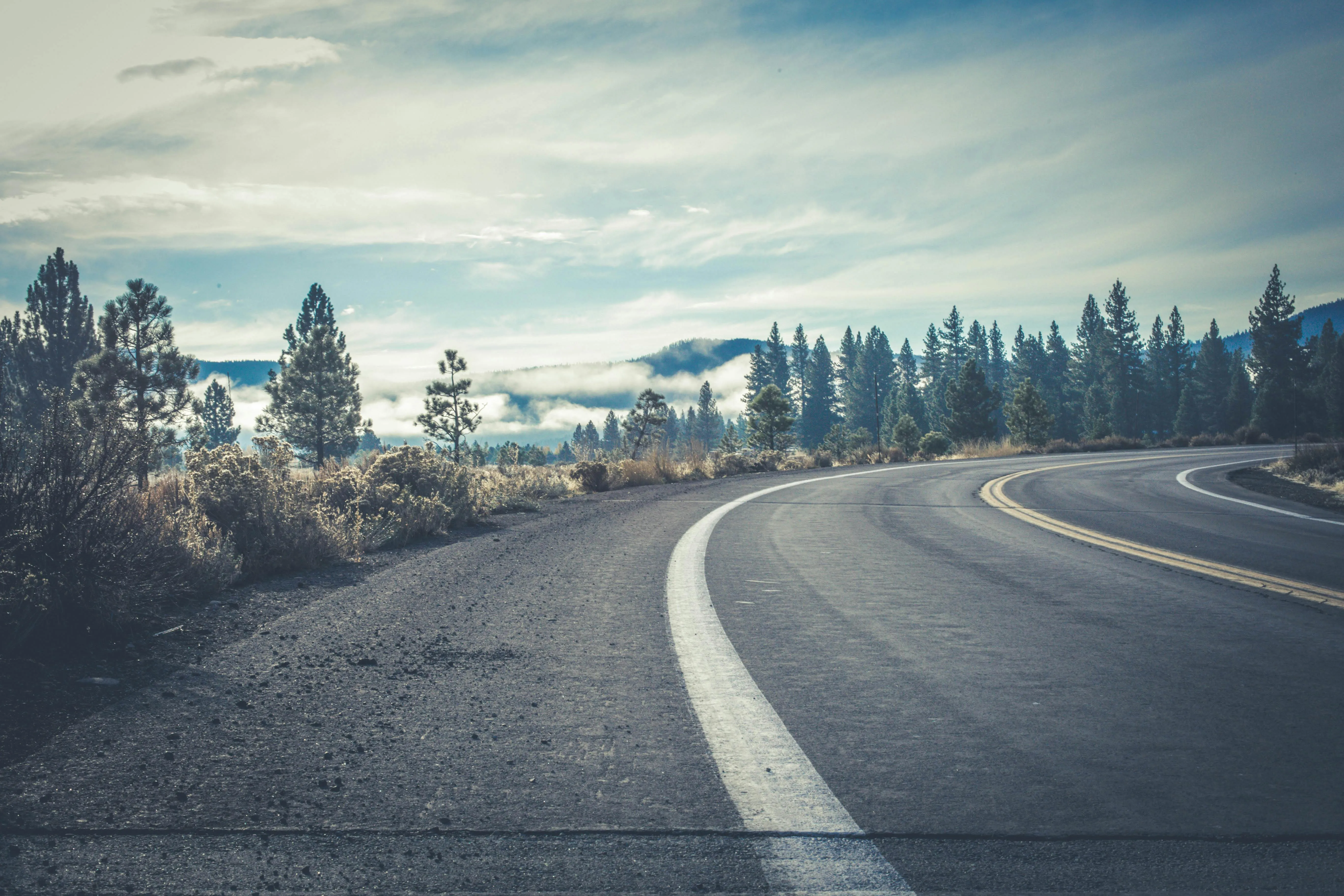 Curved Mountain Road Bordered by Pine Trees and a Sky View