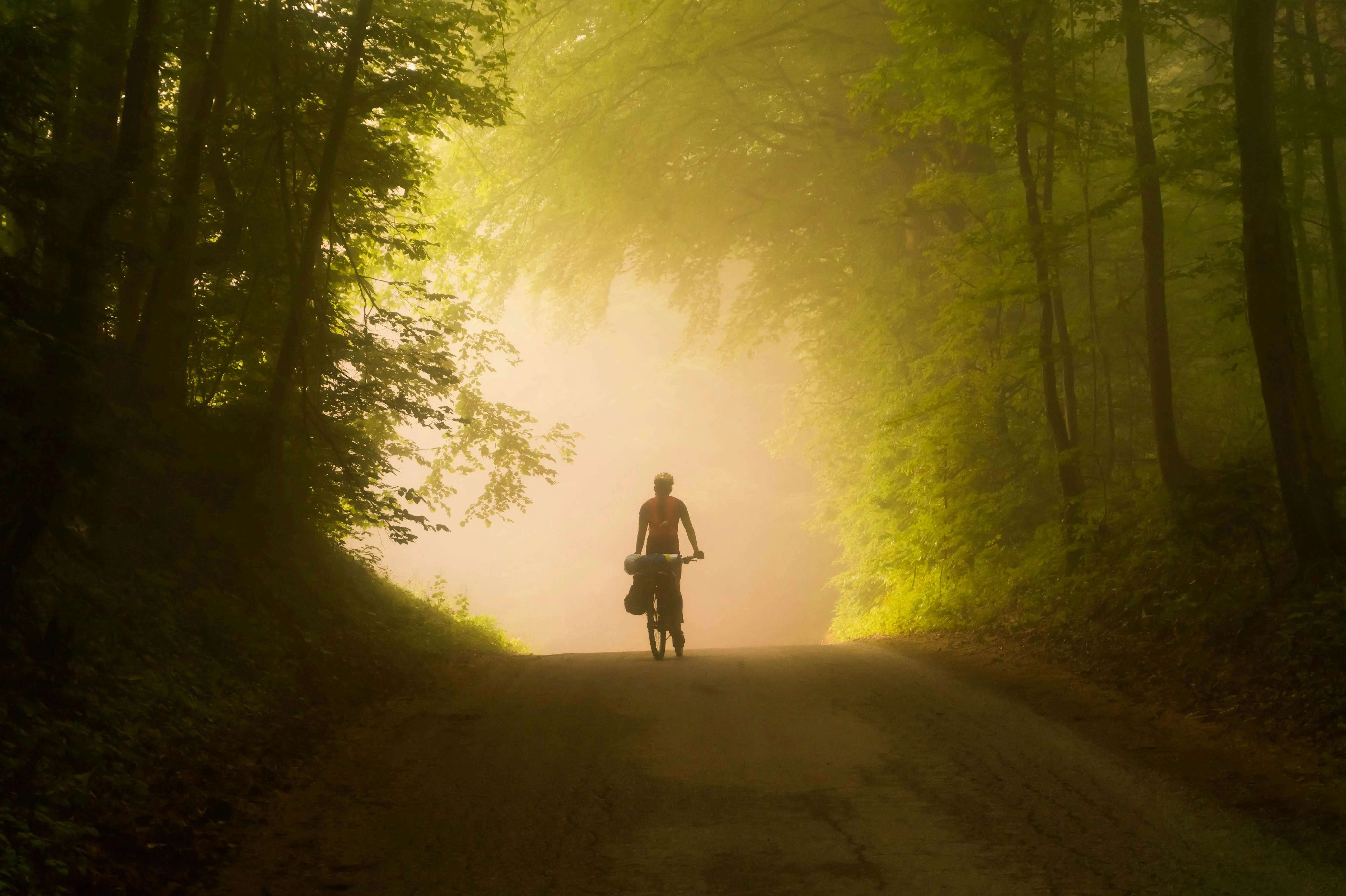 Cyclist Riding on a Foggy Forest Road with Morning Sunlight