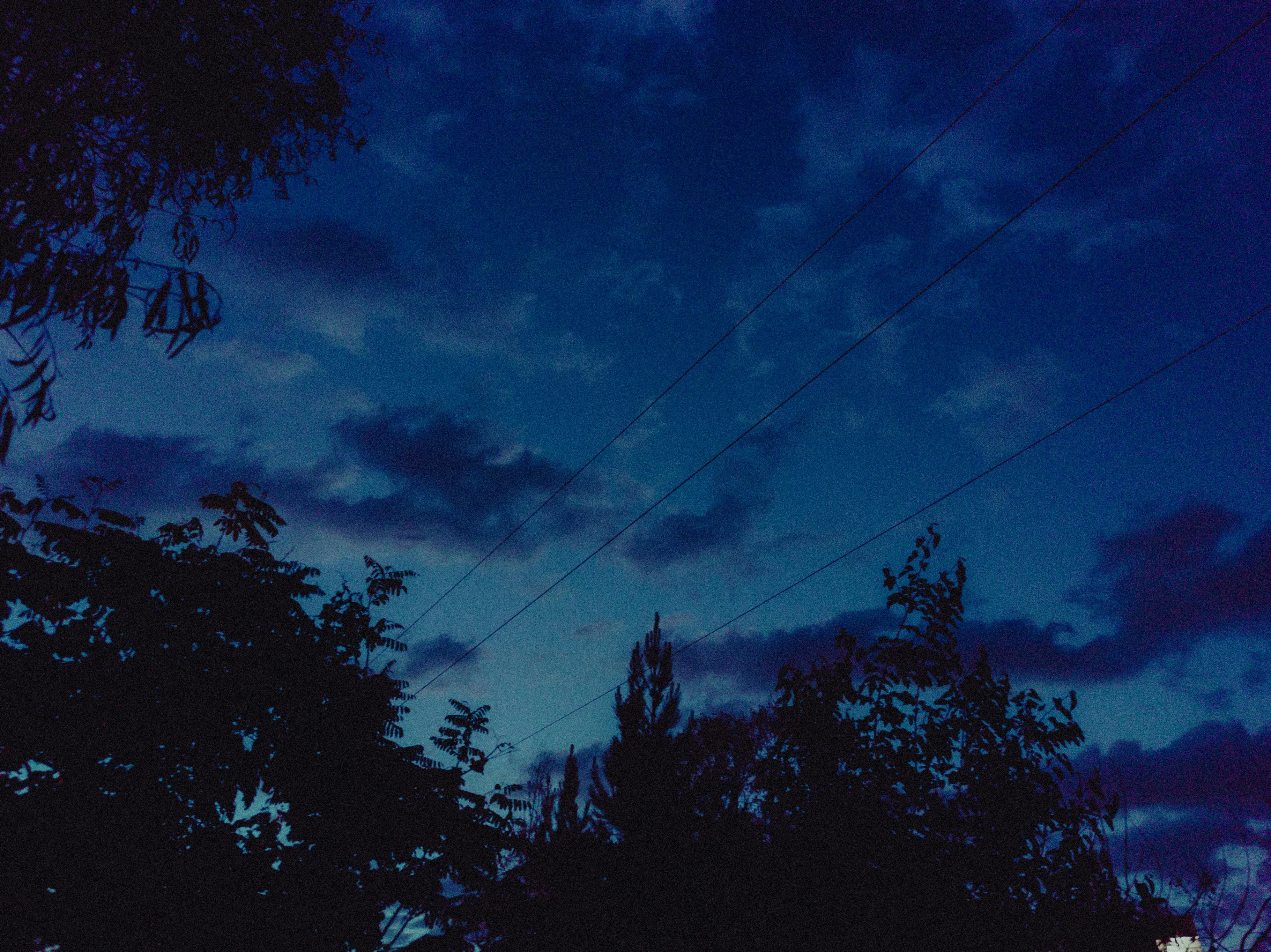 Dark Blue Sky with Clouds and Tree Silhouettes in Foreground