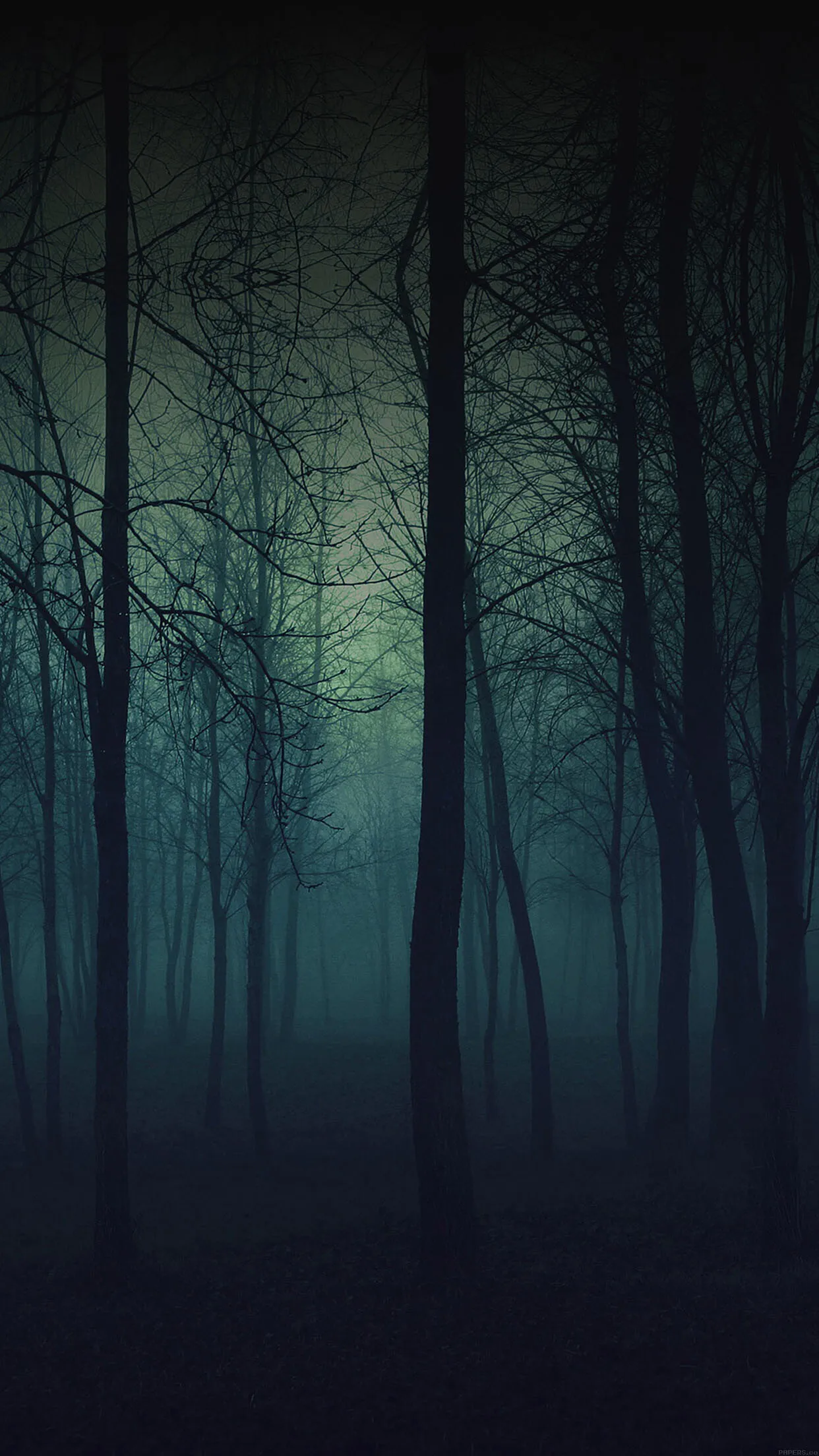 Dark and Foggy Forest Creating an Eerie HD Free Wallpaper