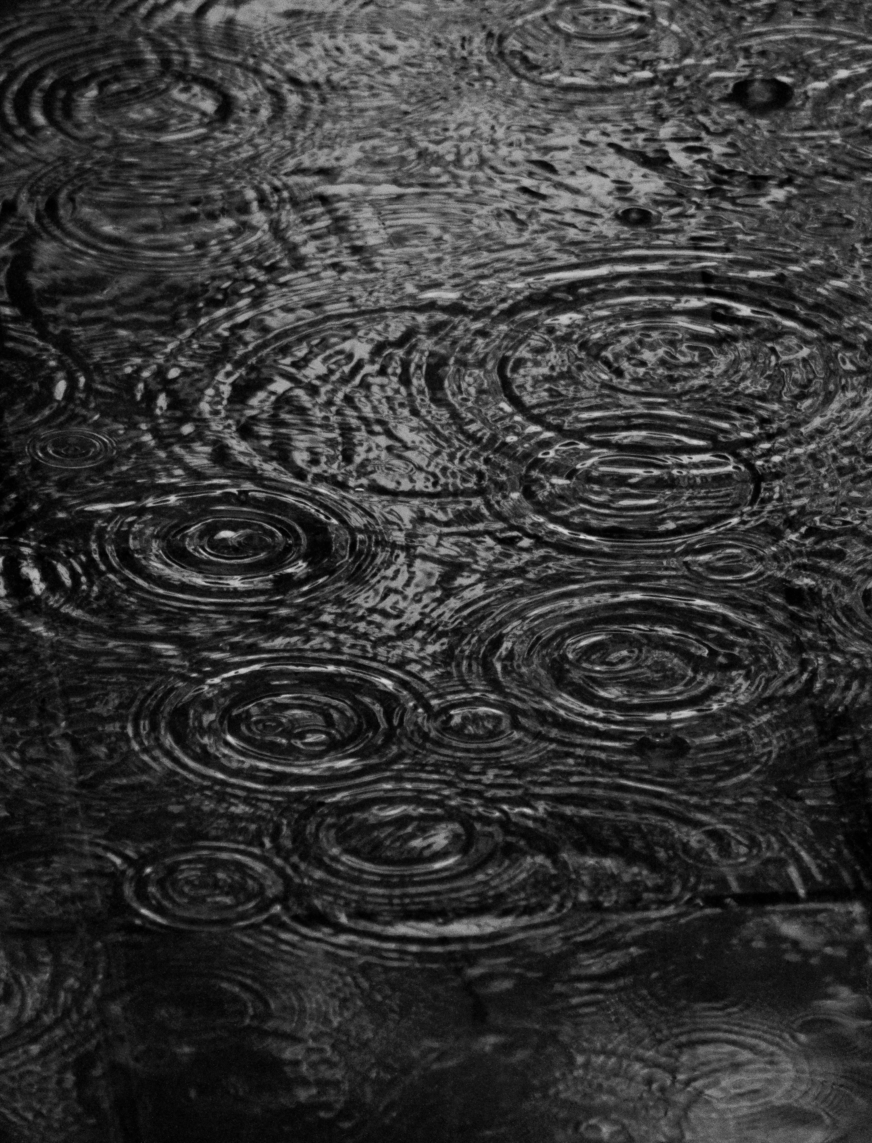 Dark Rippling Water Surface with Raindrop Circles Image