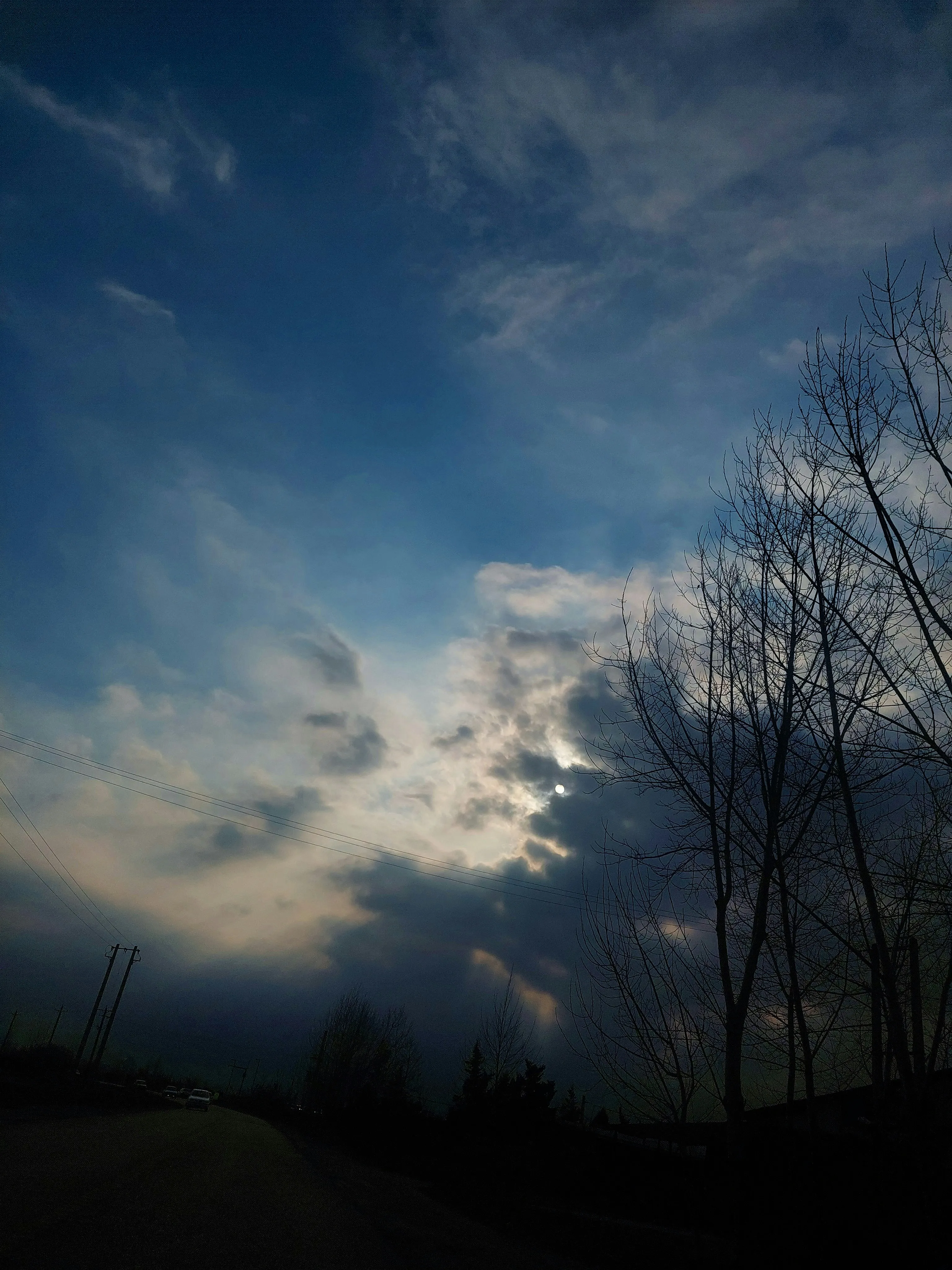 Dark Silhouetted Trees Against a Bright Cloudy Sky at Sunset