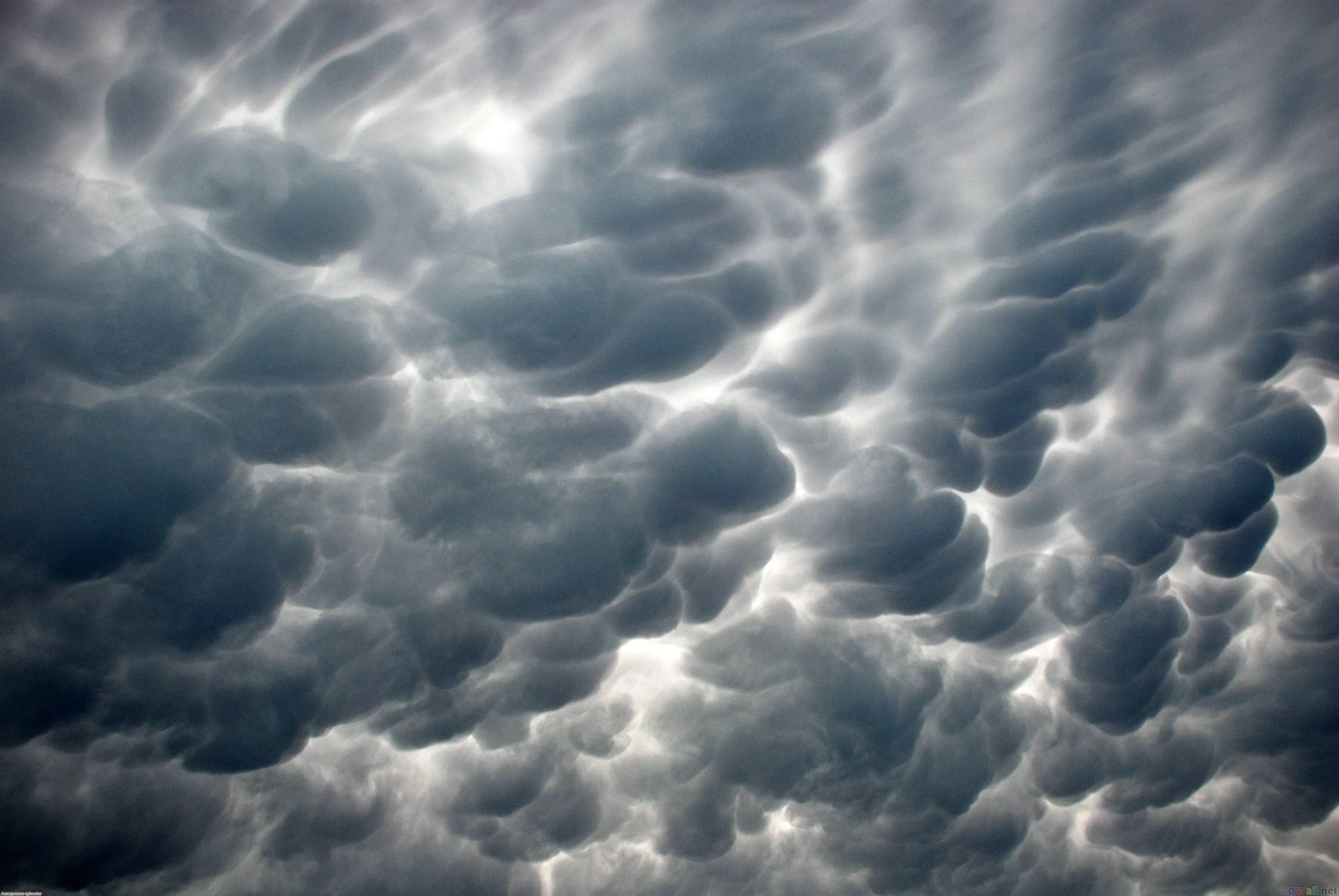 Dark Textured Mammatus Clouds Covering Stormy Sky Image