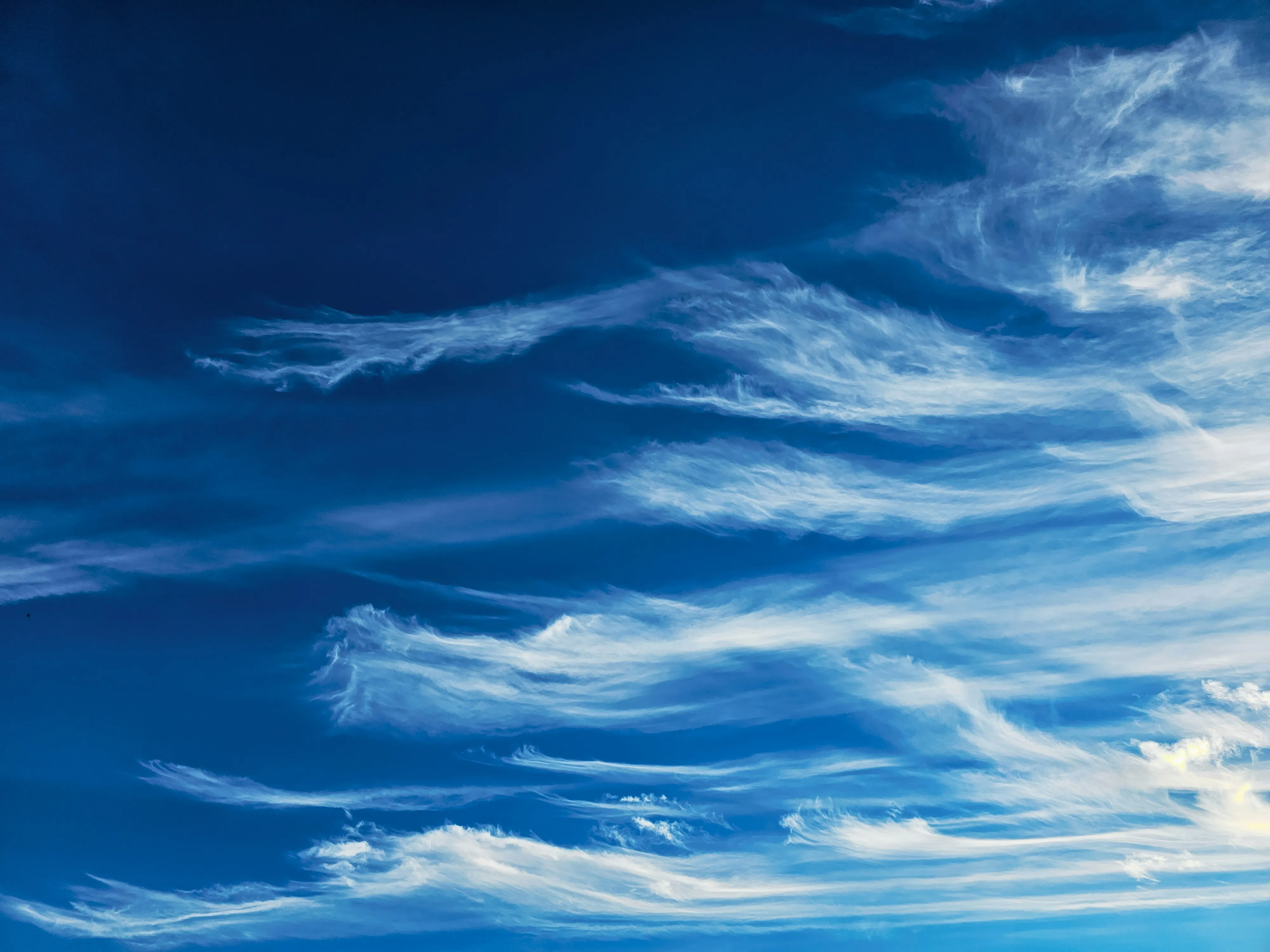 Deep Blue Sky with Layered Clouds Above Open Grassland