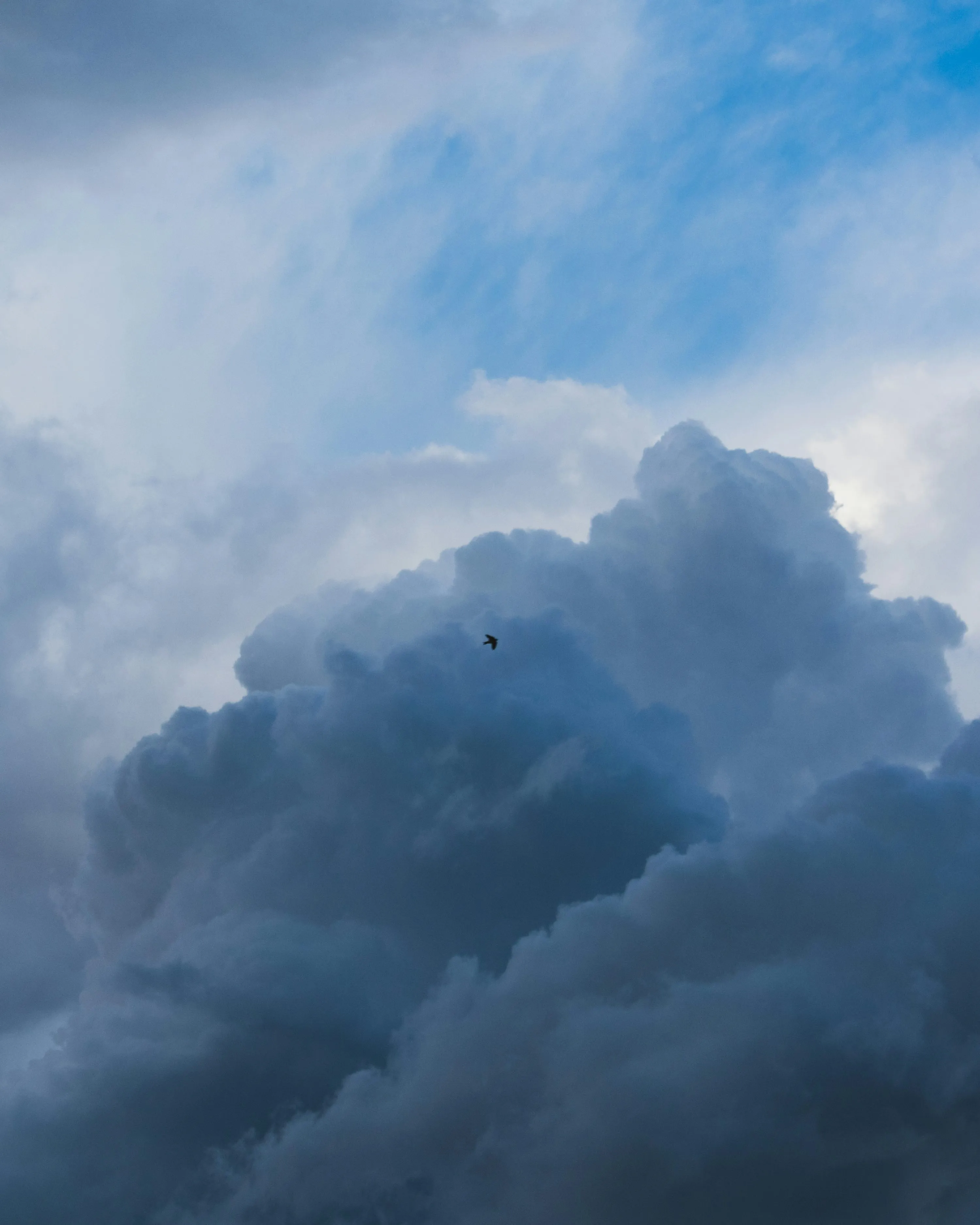 Dense Cloud Formation Rising in Dramatic Moody Sky Image