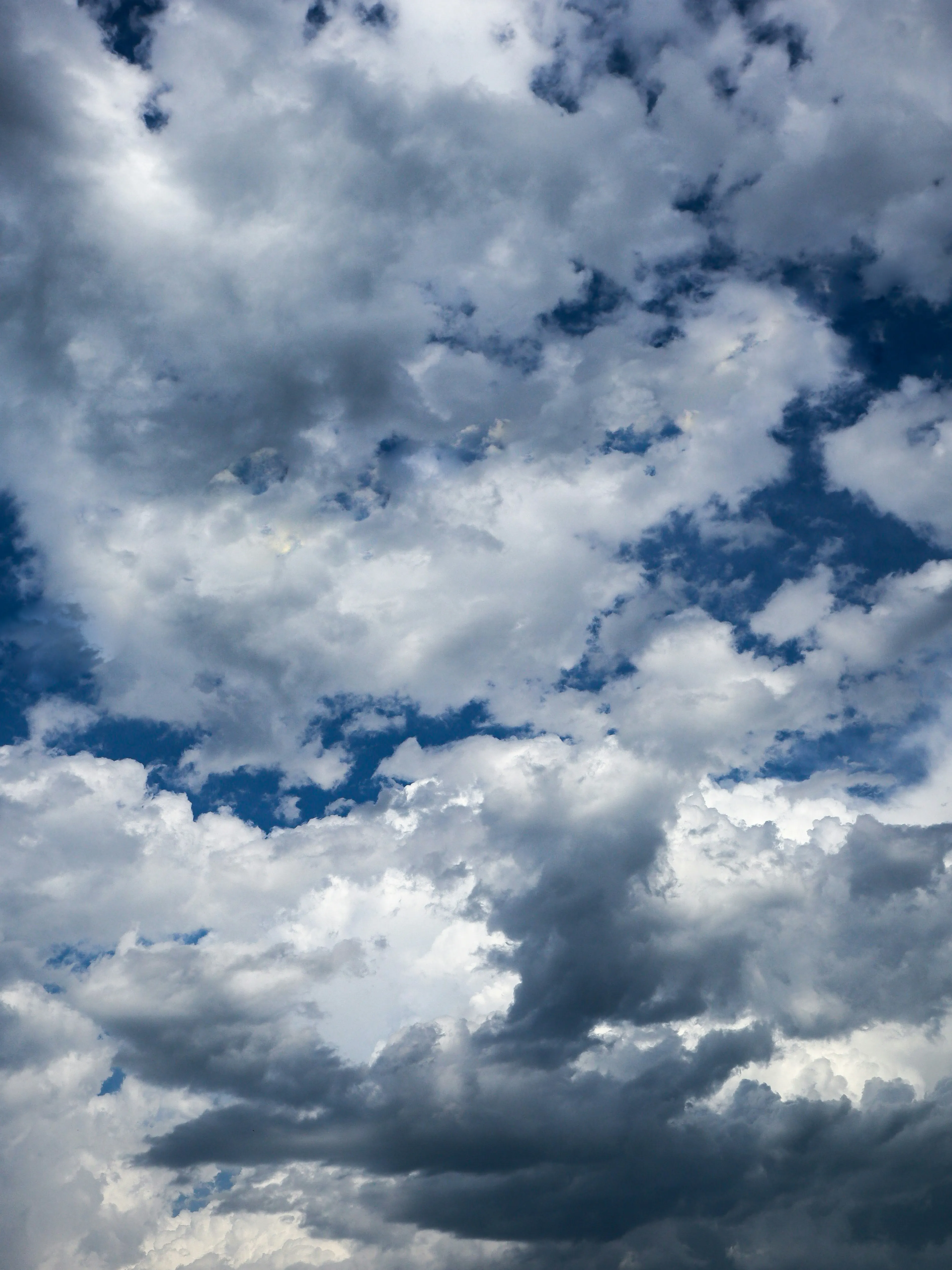 Dense Cumulus Clouds Forming in Bright Blue Sky Wallpaper