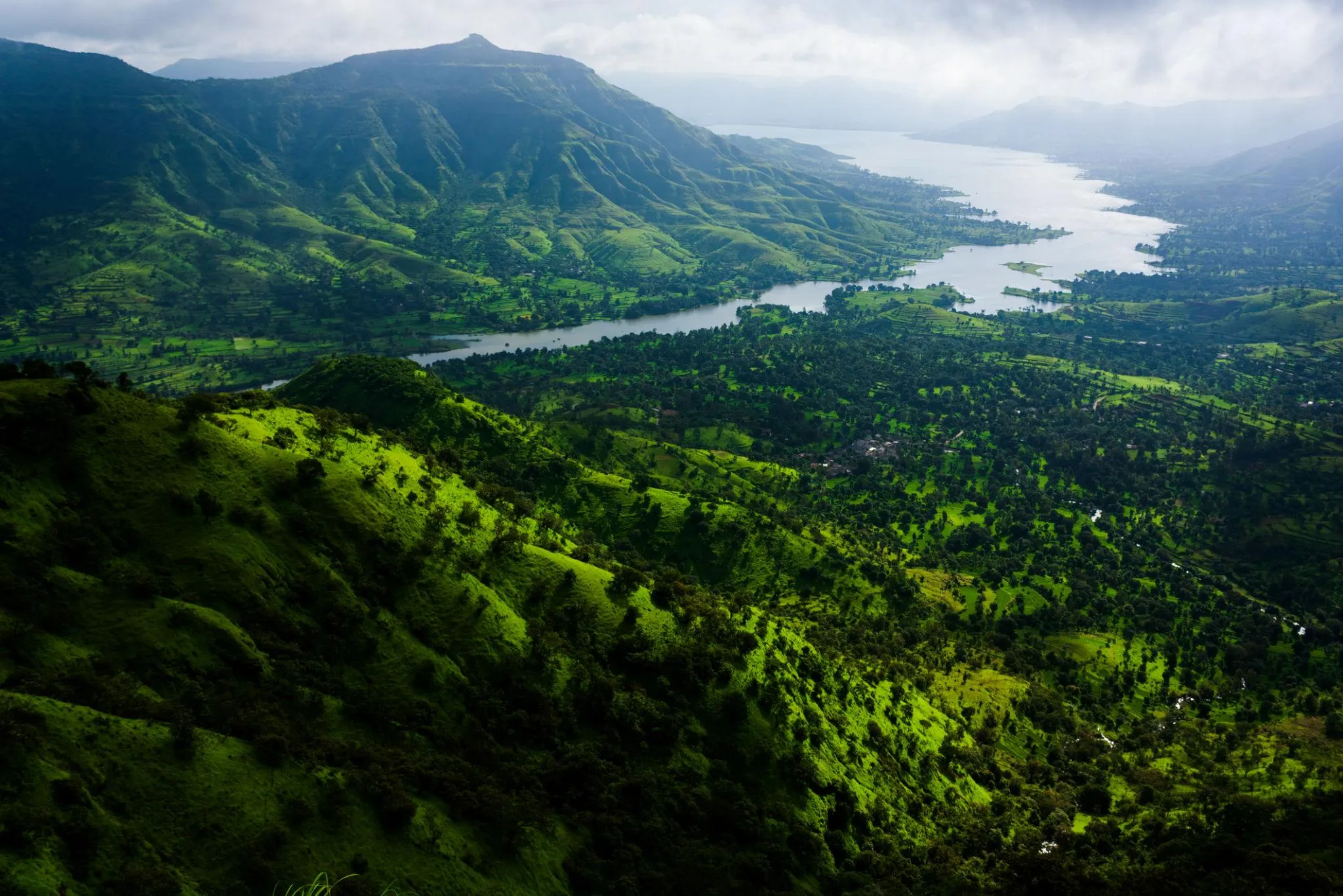 Dense green forest and hills under a cloudy sky Wallpaper
