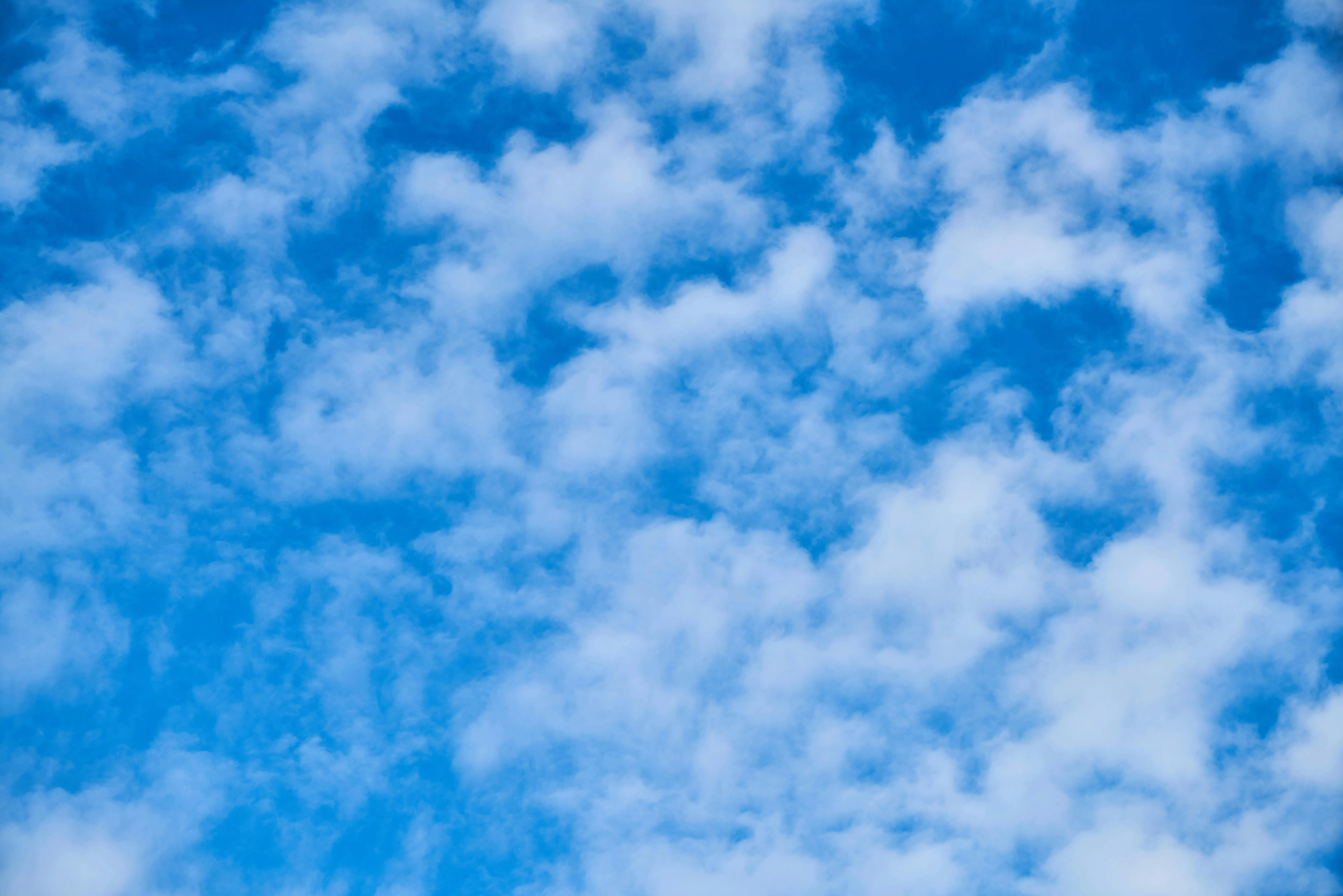 Dense Layer of Fluffy Clouds Covering the Blue Sky Wallpaper